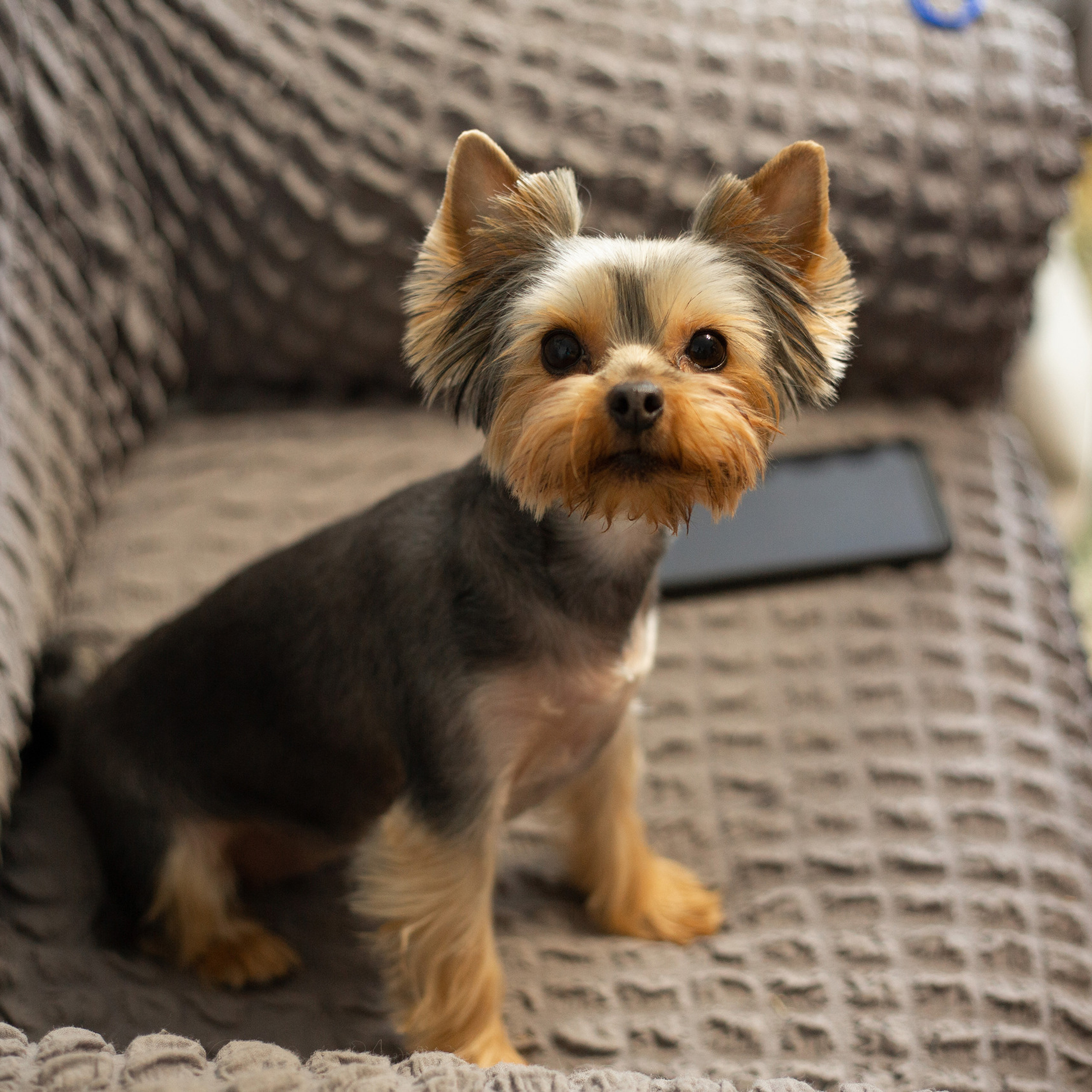 Отзывы о фотостудии олеся. Фотостудия «Олеся». Фотостудия в г. Верхняя Пышма