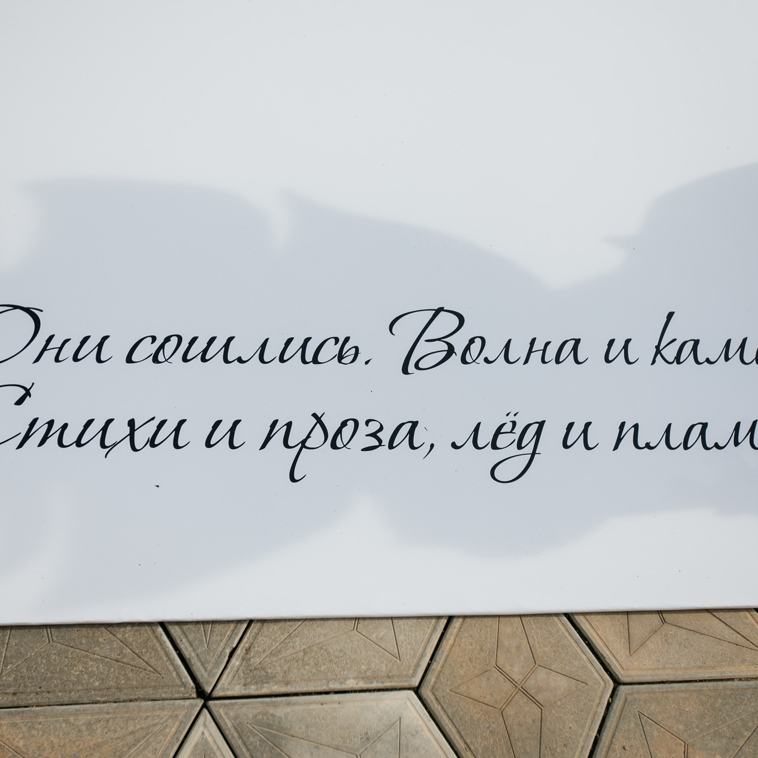 Дмитрий и Светлана «Они сошлись, волна и камень. Стихи и проза, лёд и пламень…»