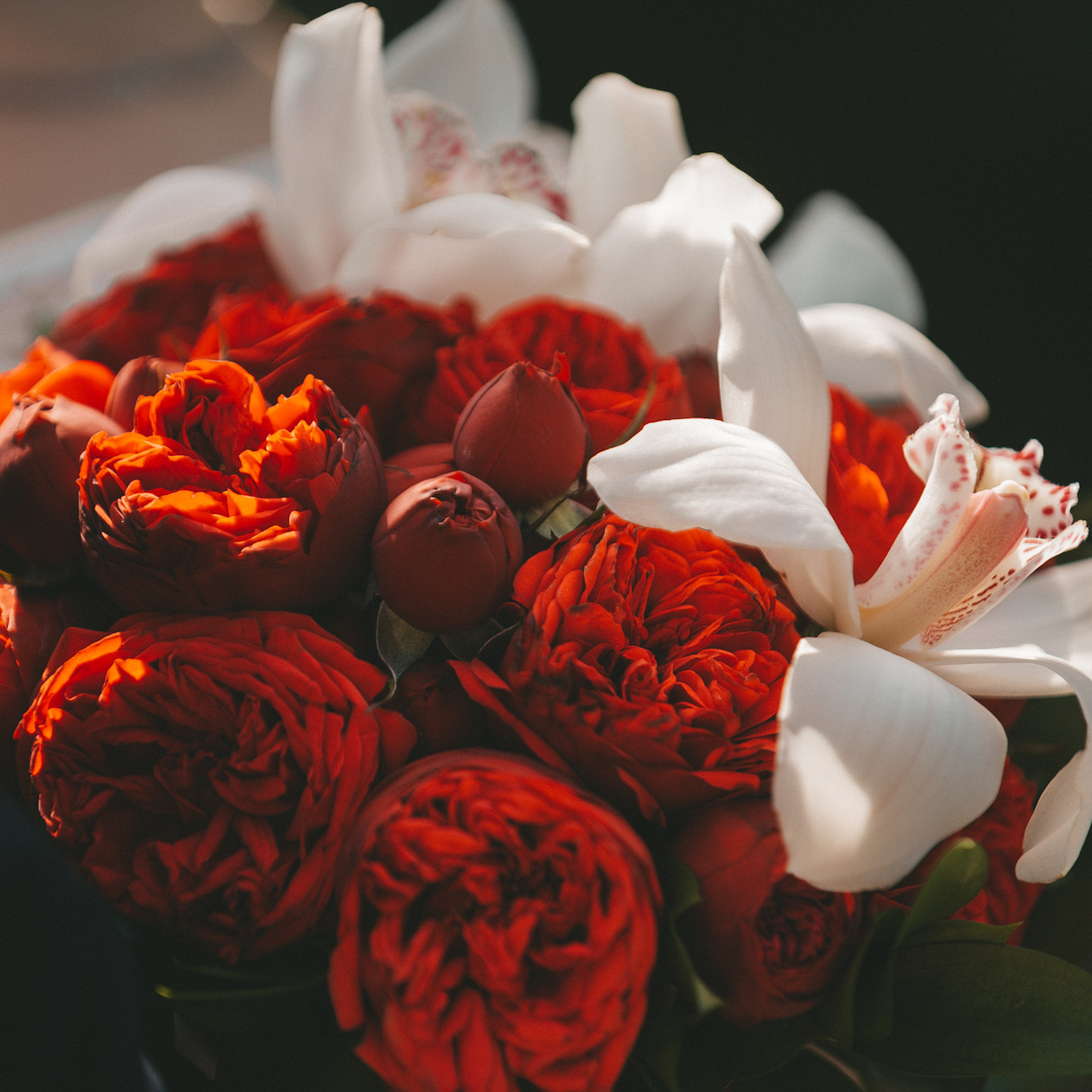 Отзывы. Yana Kotlyarova lifestyle фотографов