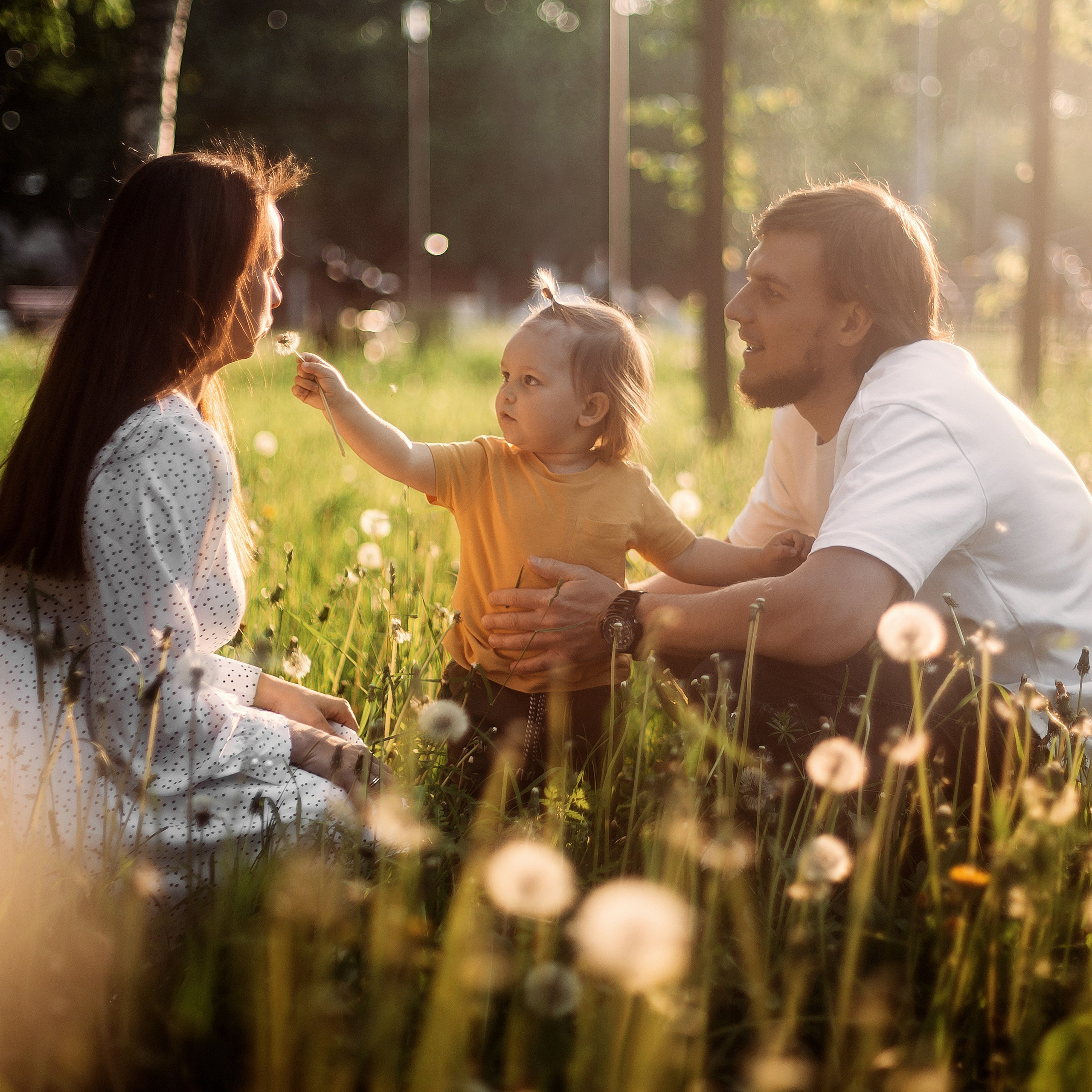 Семья Анастасии