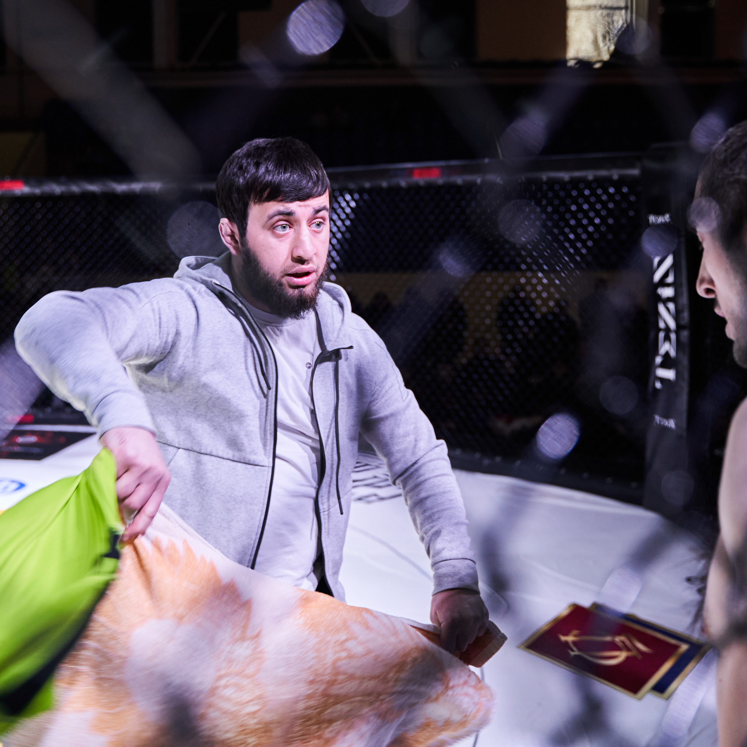 Соревнования MMA «Кубок Спарты»