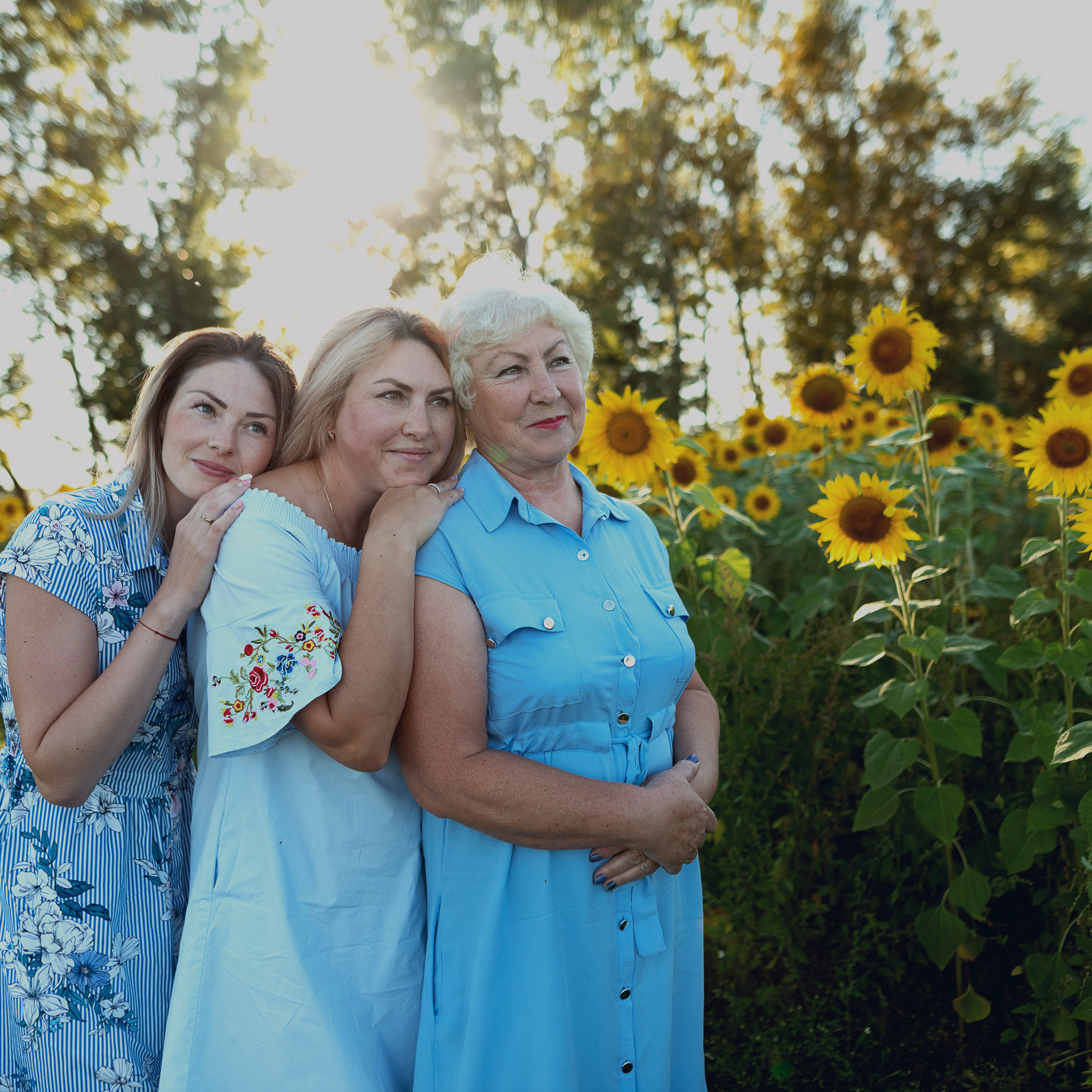 Подсолнухи