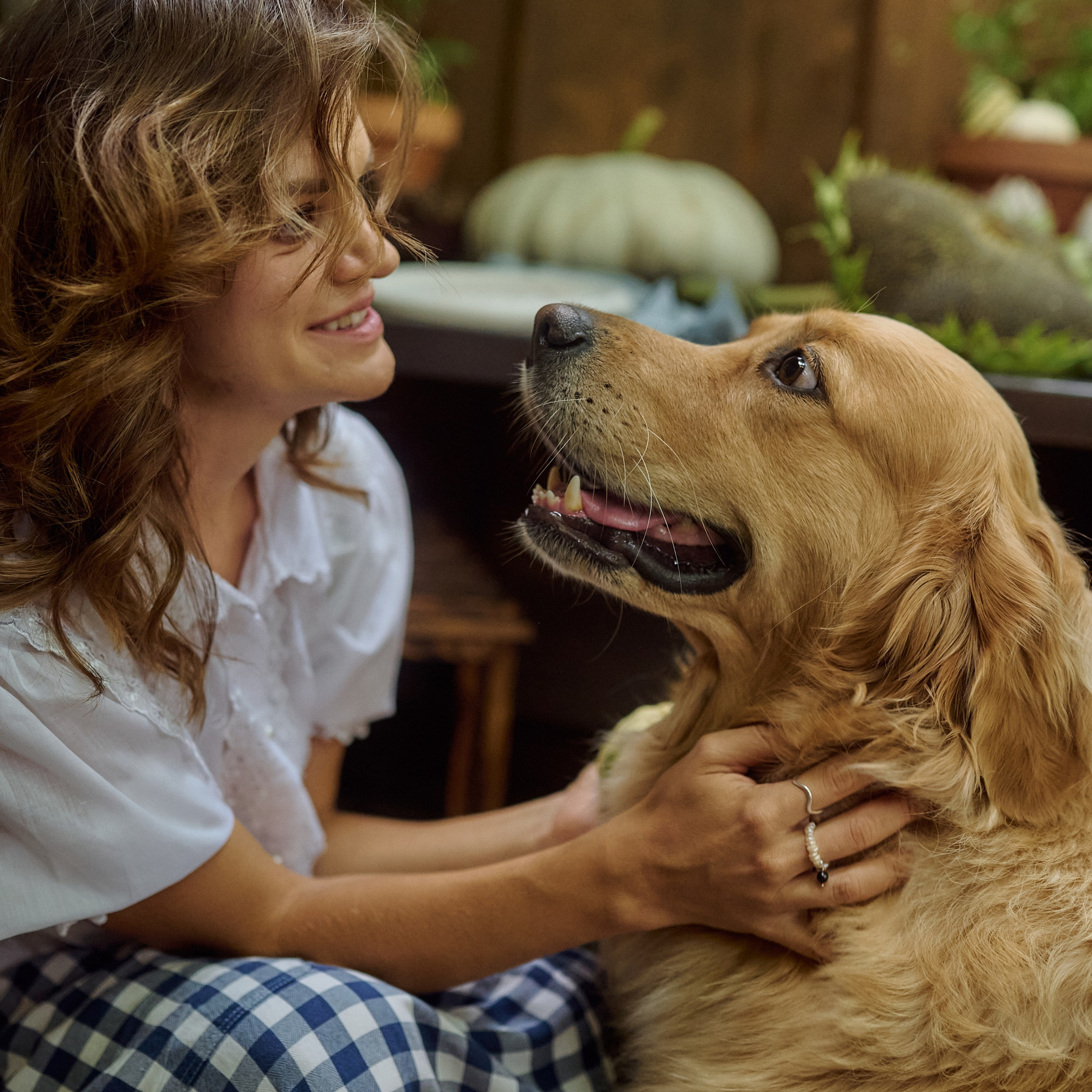 Алёна и Рада в Чайной