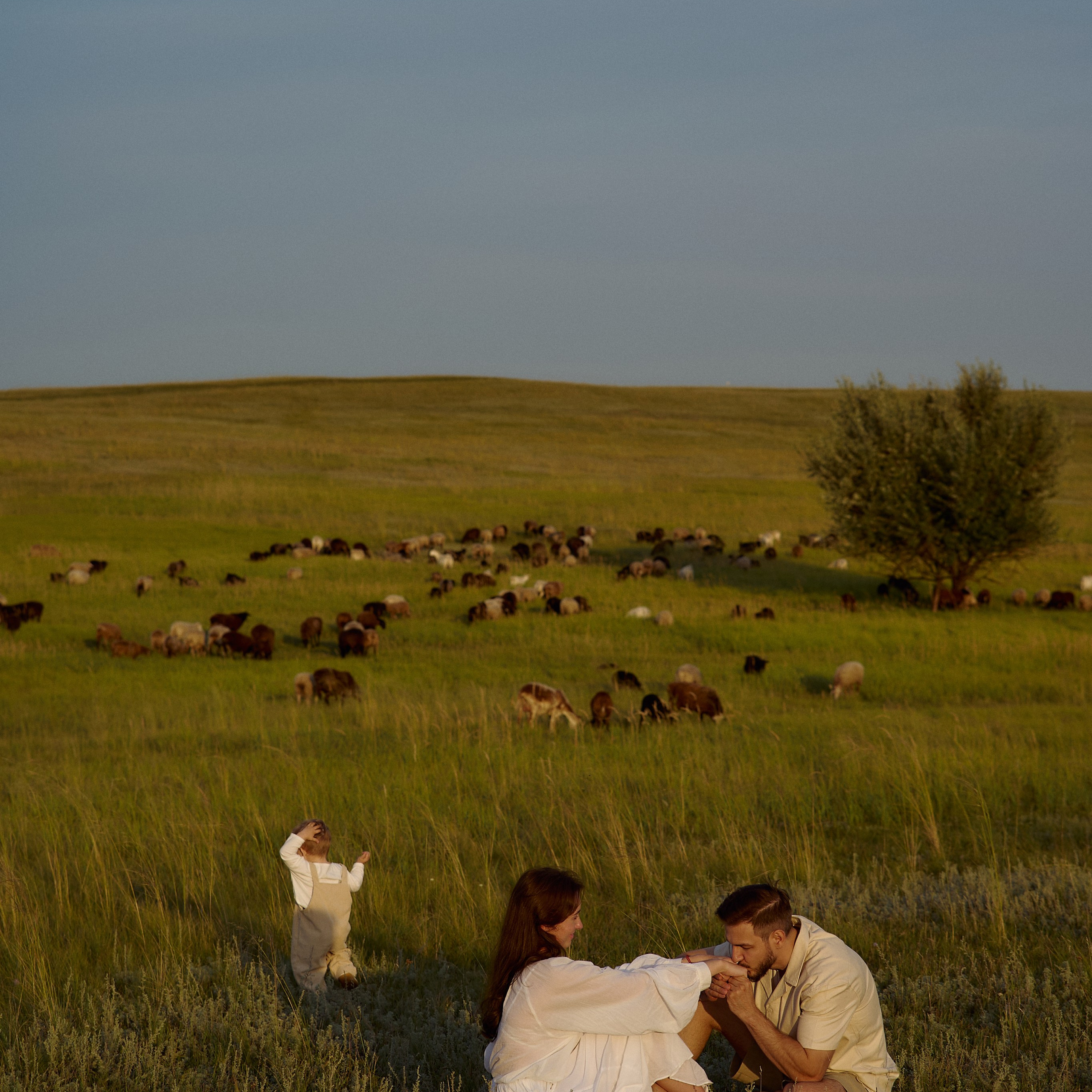 Шамиль, Аня и Марс в поле с барашками