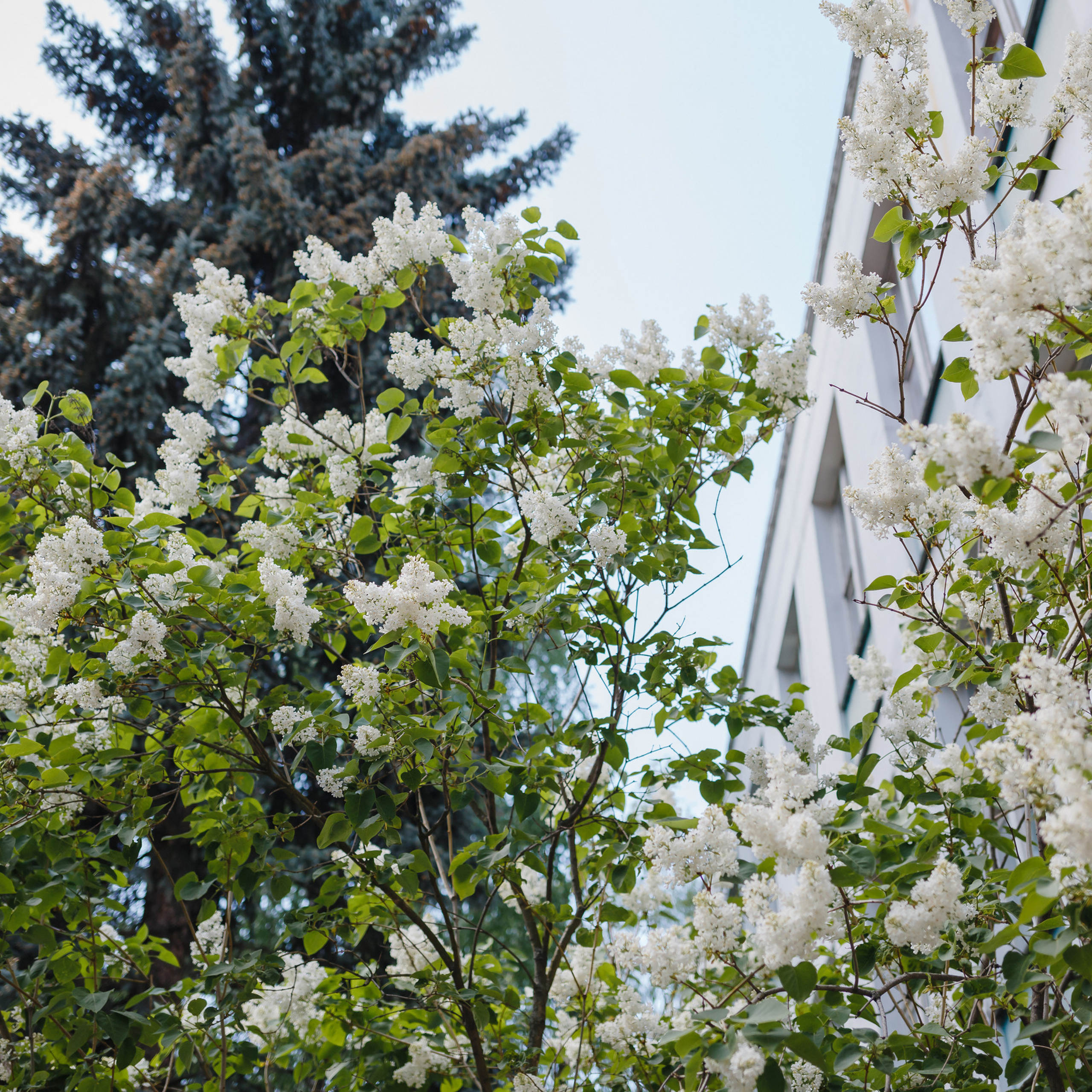 Отзывы. Семейный фотограф Николаева Ольга