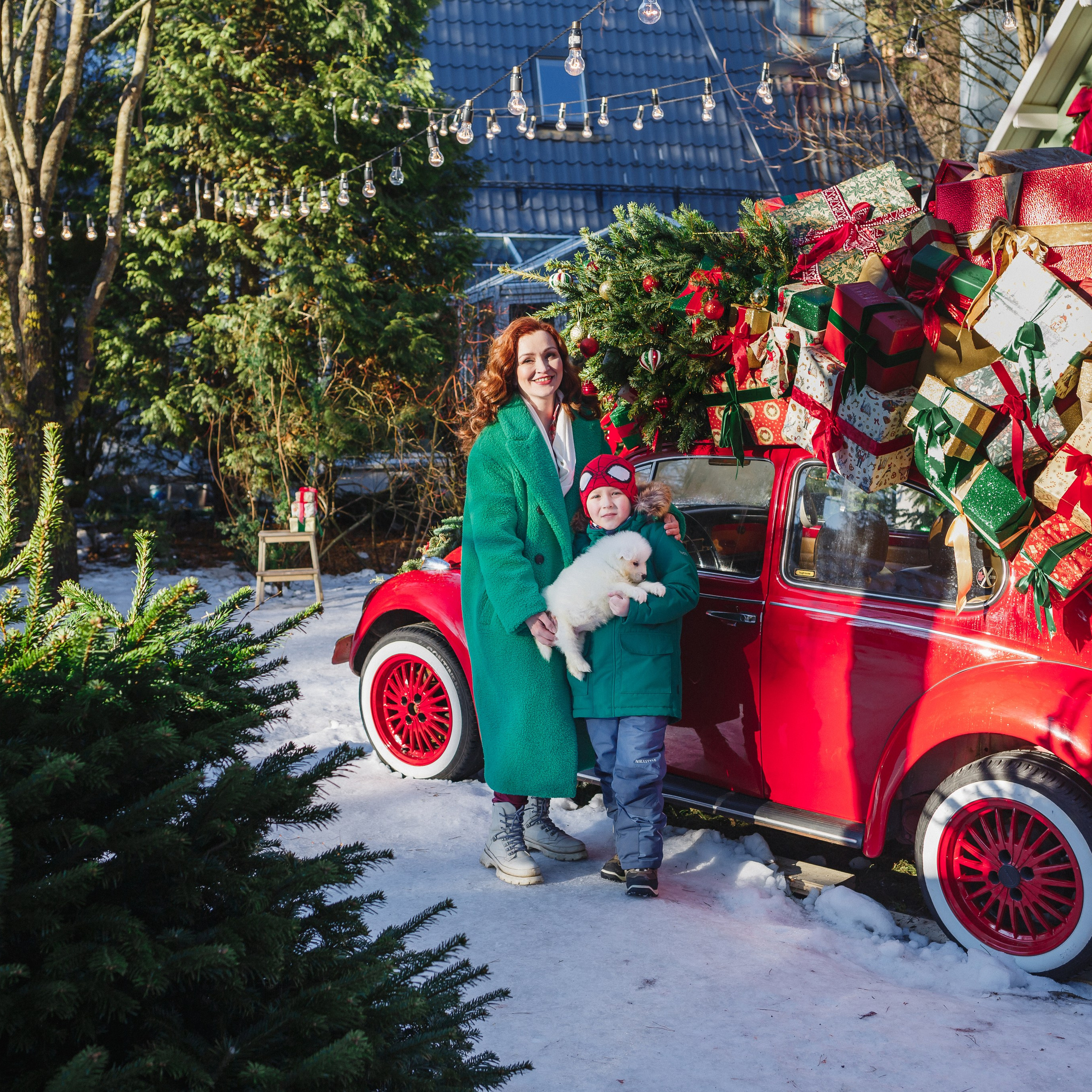 Зимняя сказка