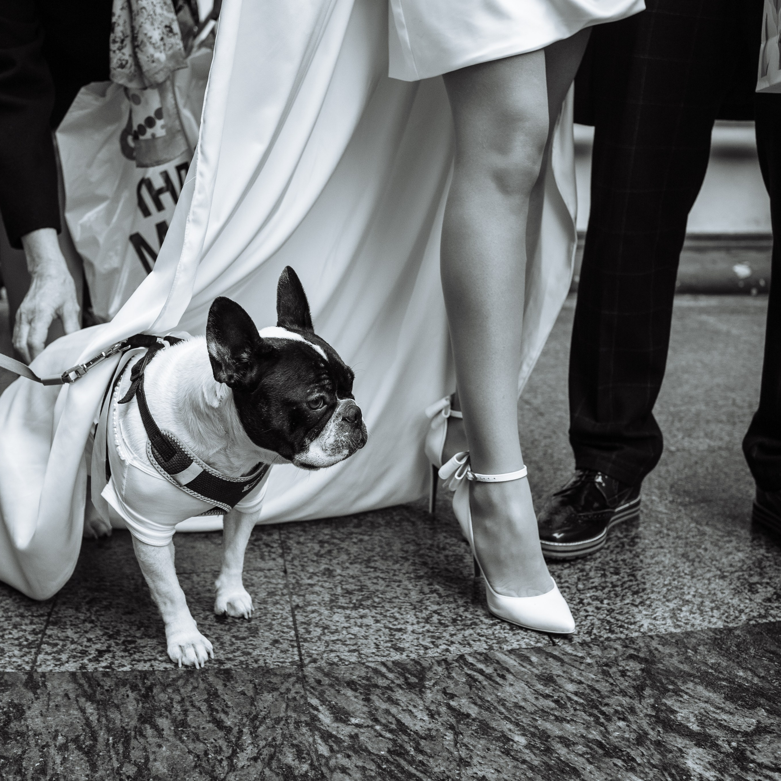 Максим и Светлана