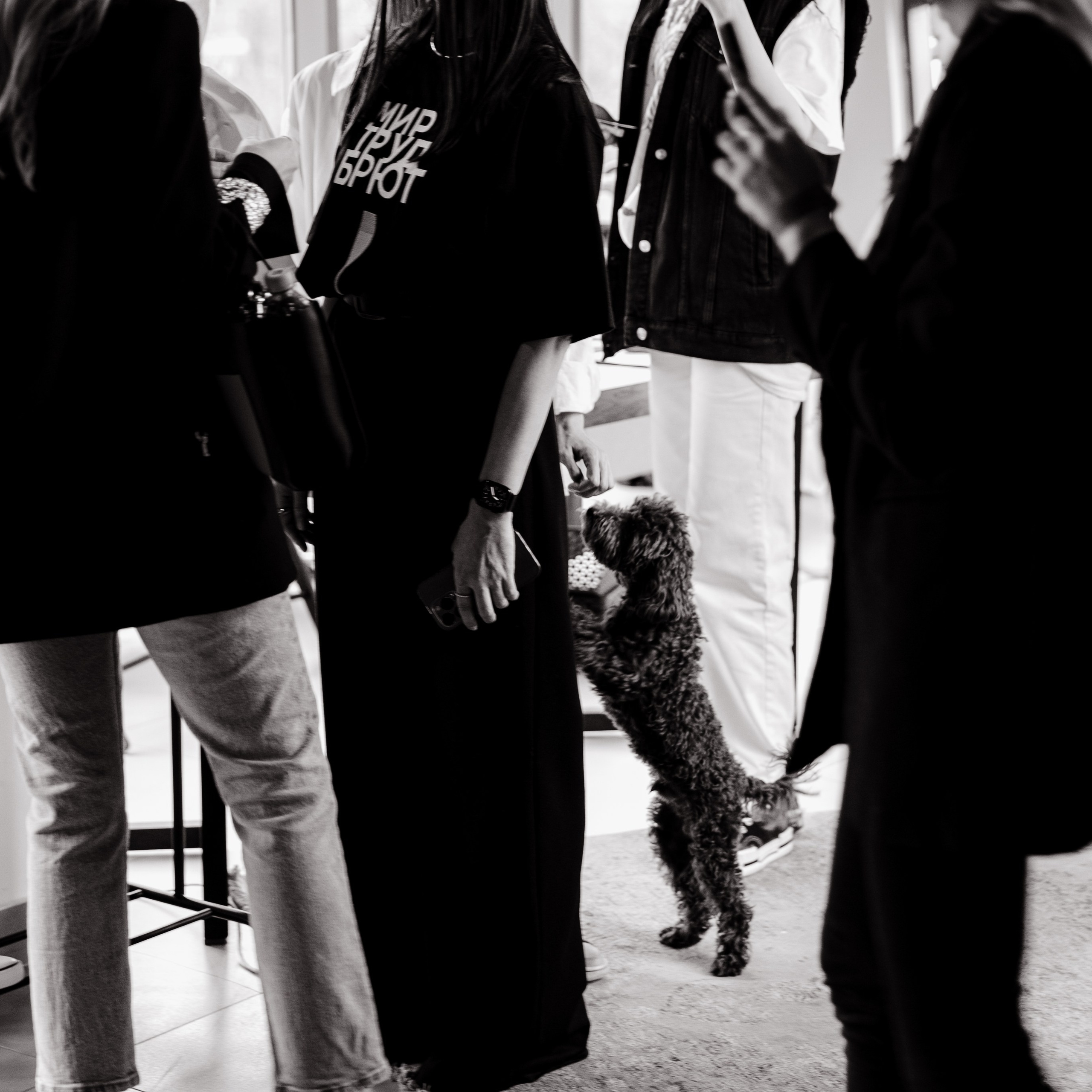 Kultura market. Агентство визуального контента в Воронеже