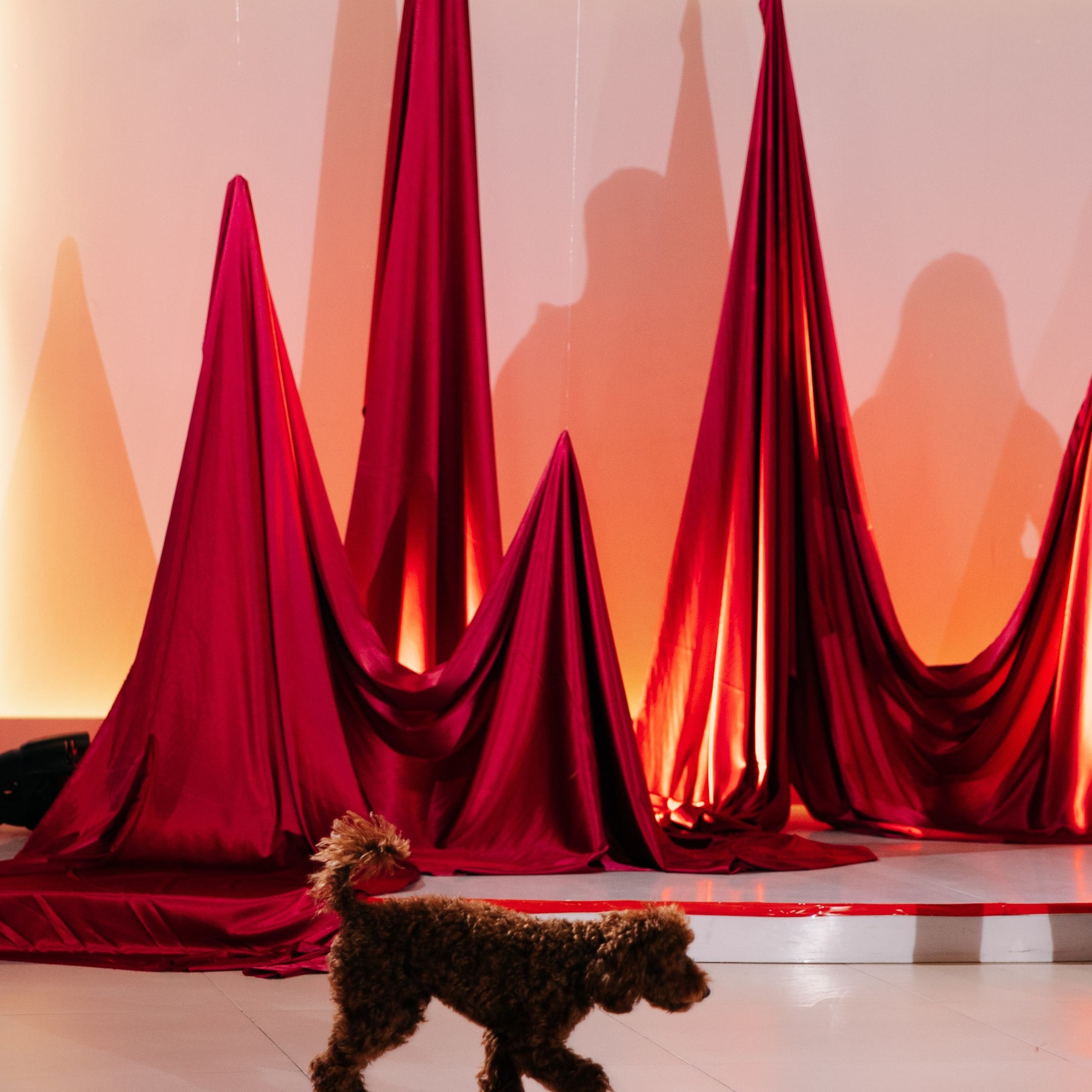 Kultura market. Агентство визуального контента в Воронеже