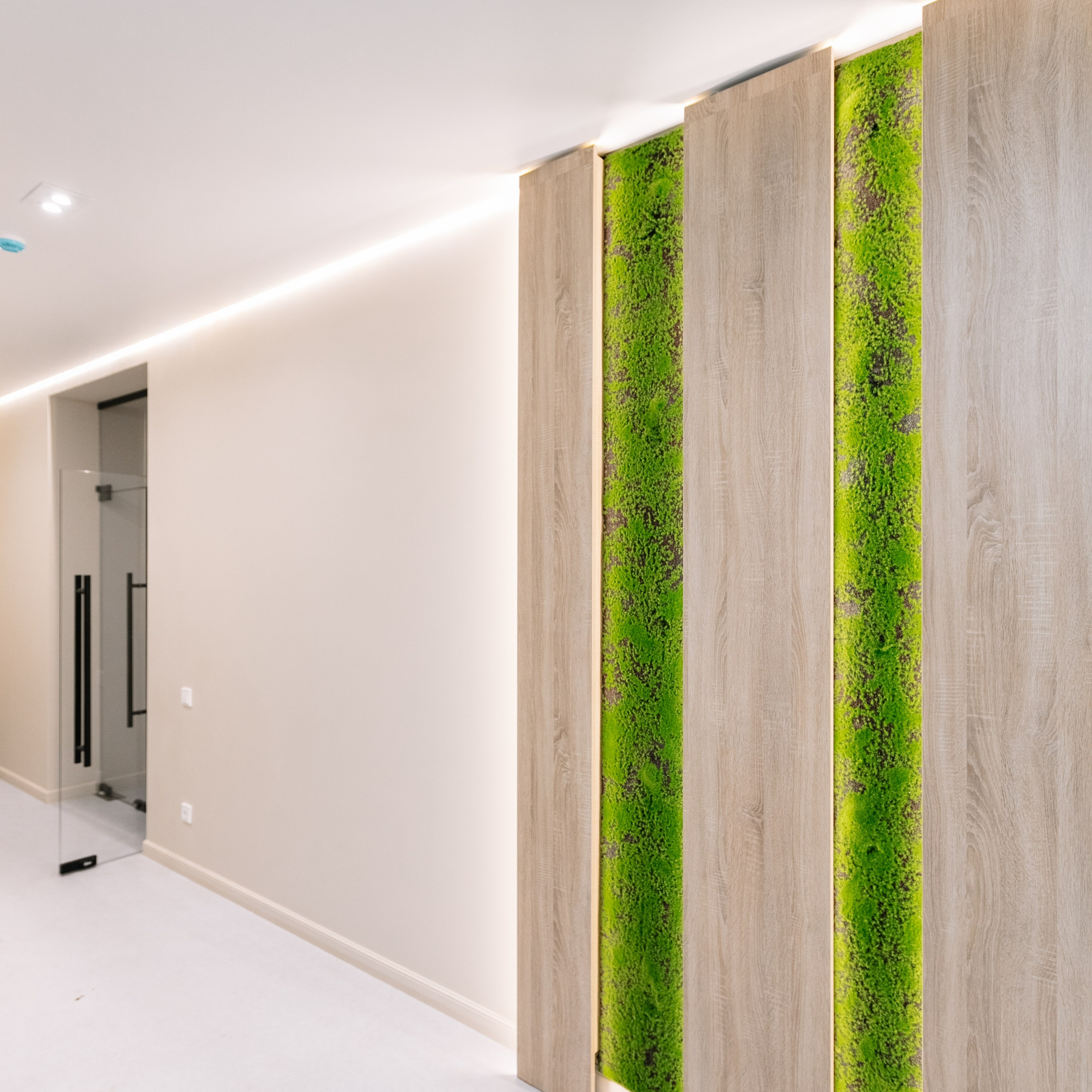 «Академия эстетики». Агентство визуального контента в Воронеже