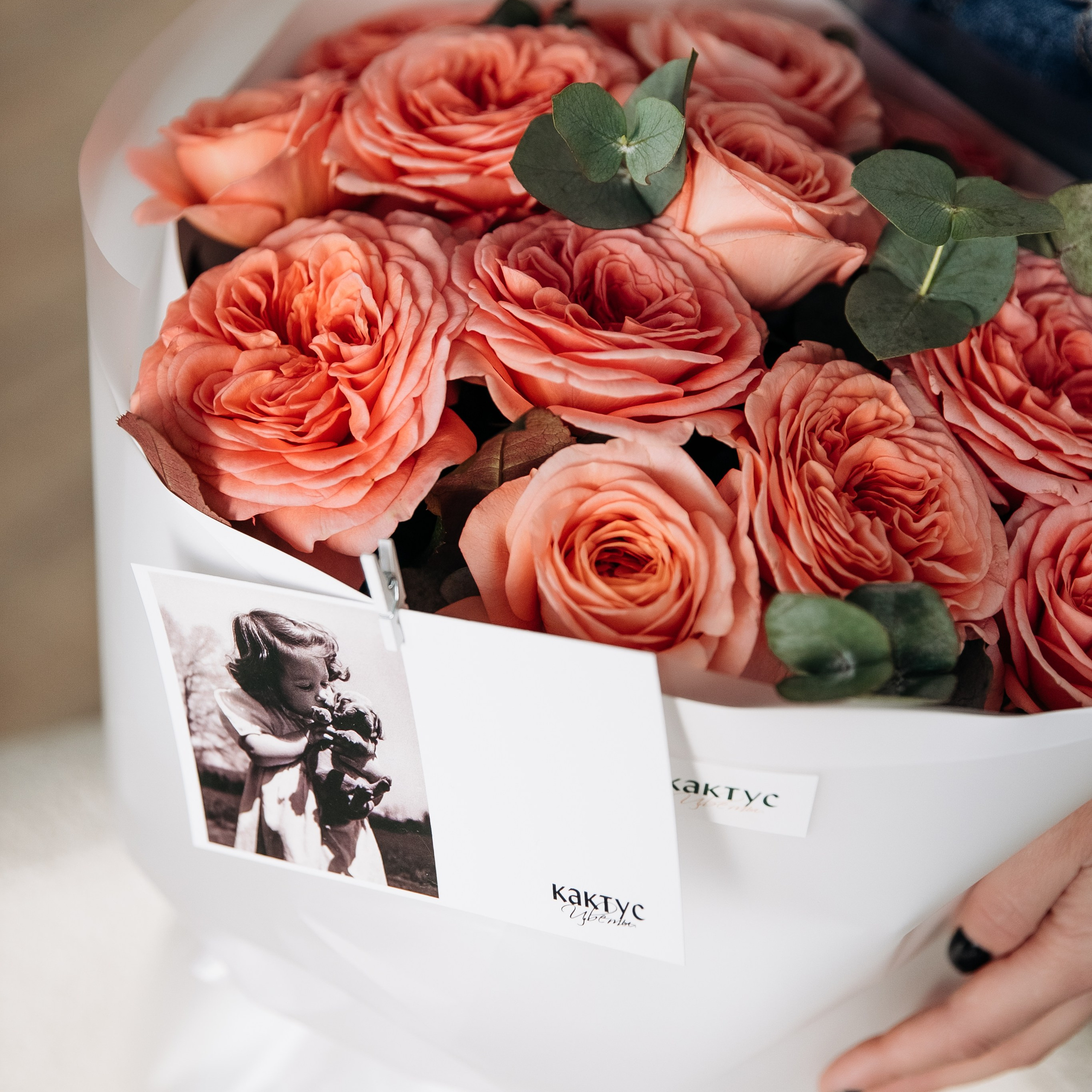 Магазин цветов «Кактус». Агентство визуального контента в Воронеже