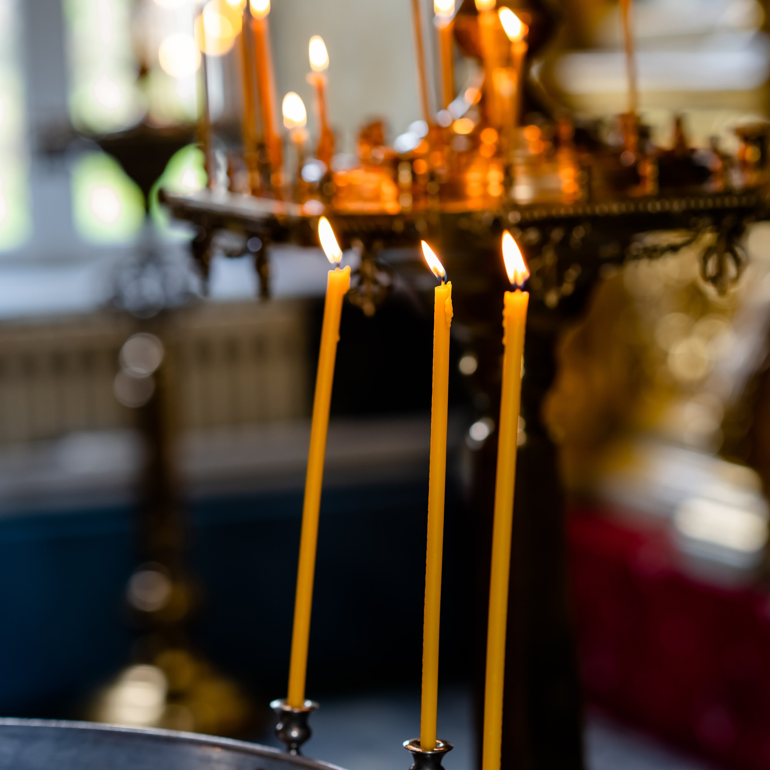 Отзывы. Фотограф Дмитров. Москва