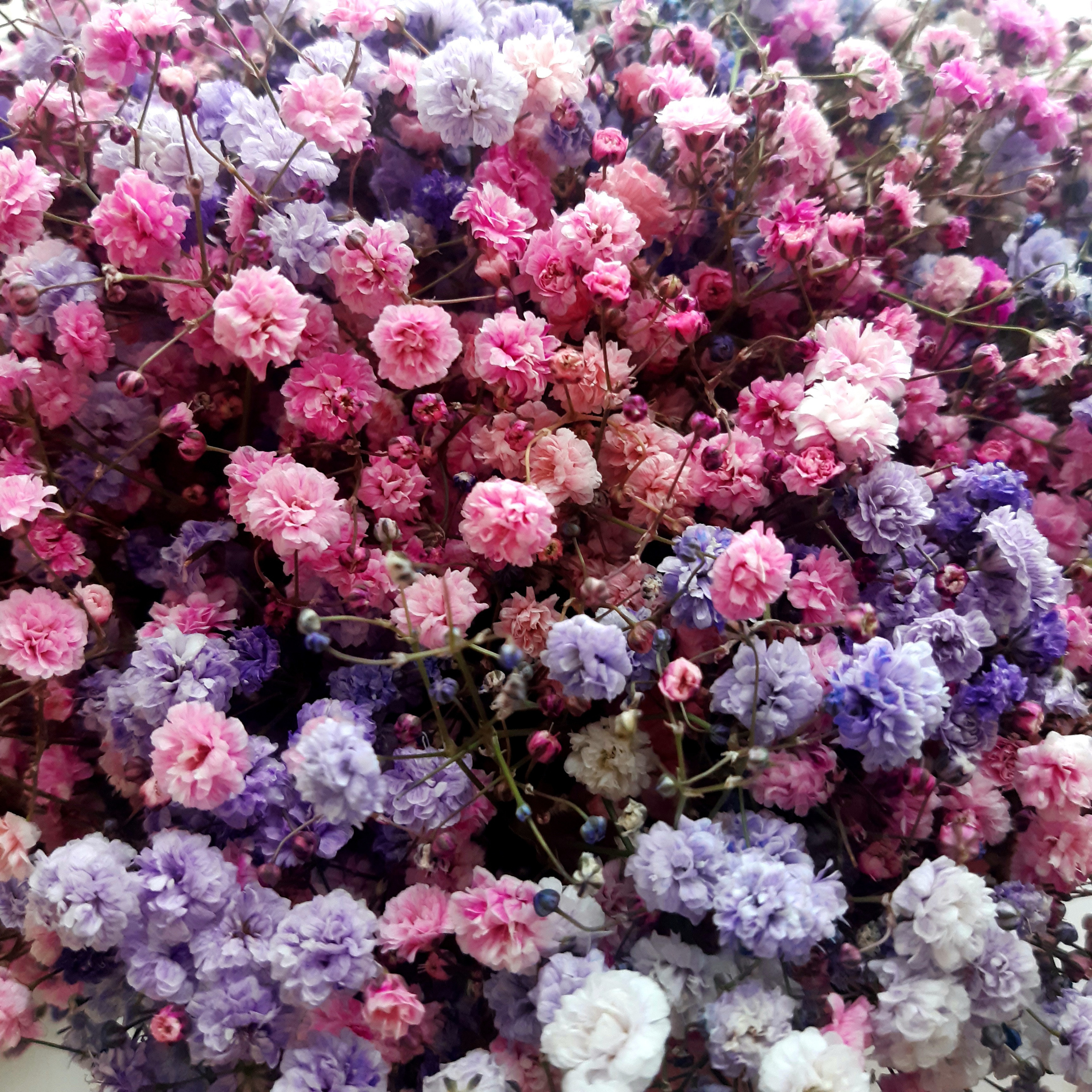 Отзывы о свадебных ведущих Спб. Ведущая СПБ Надежда Кожина