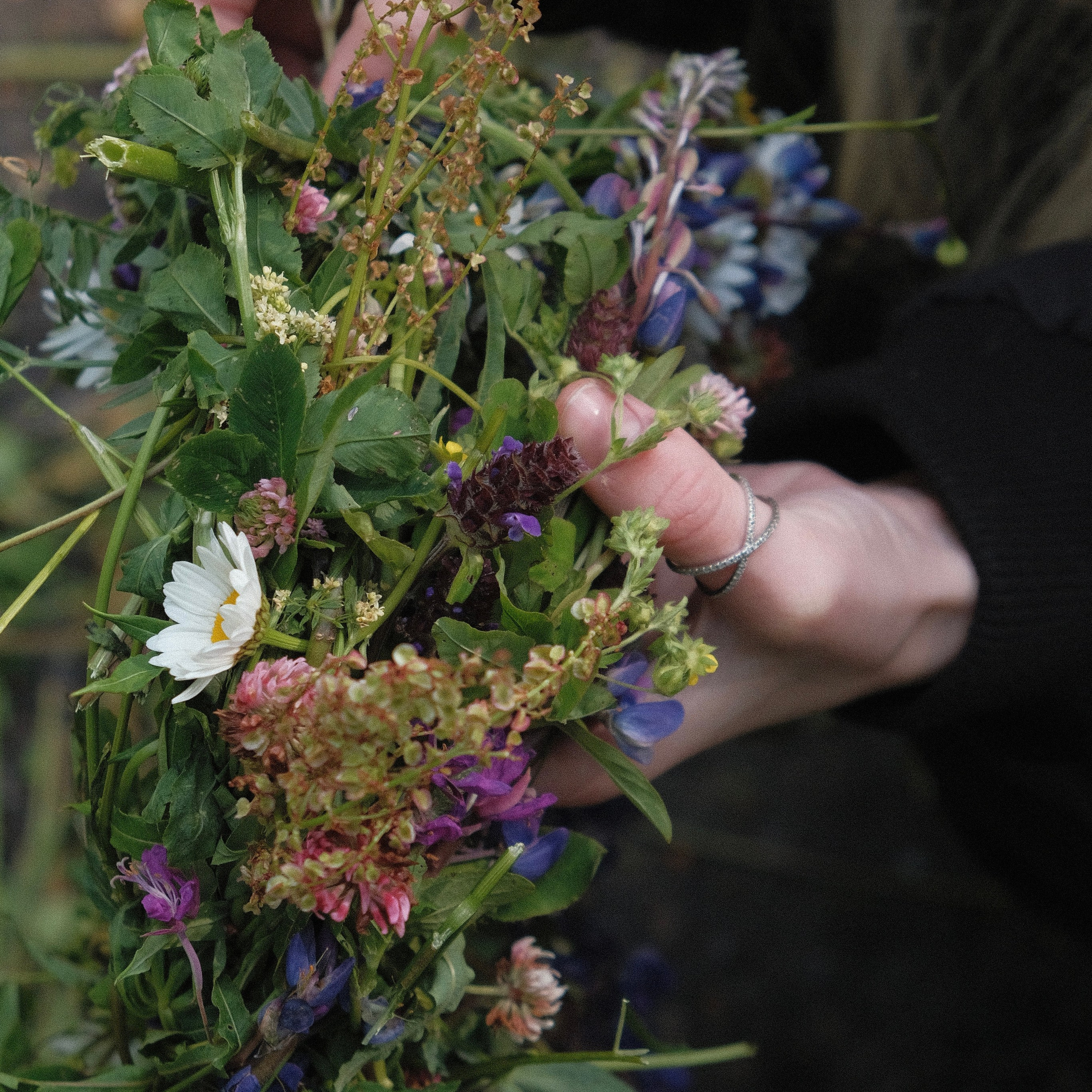 Репортаж. Катерина Губанова