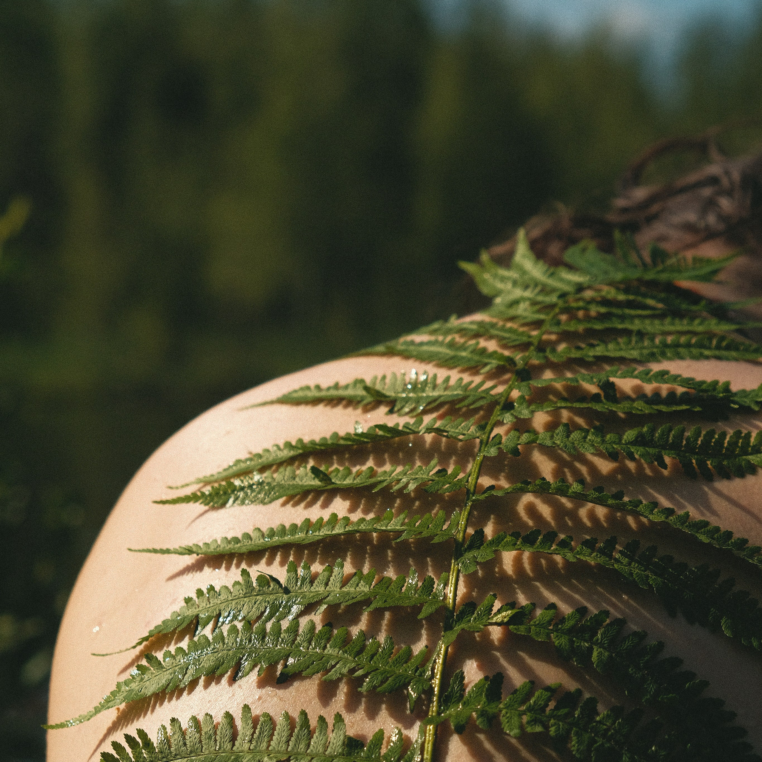 Индвидуальная съёмка. Катерина Губанова