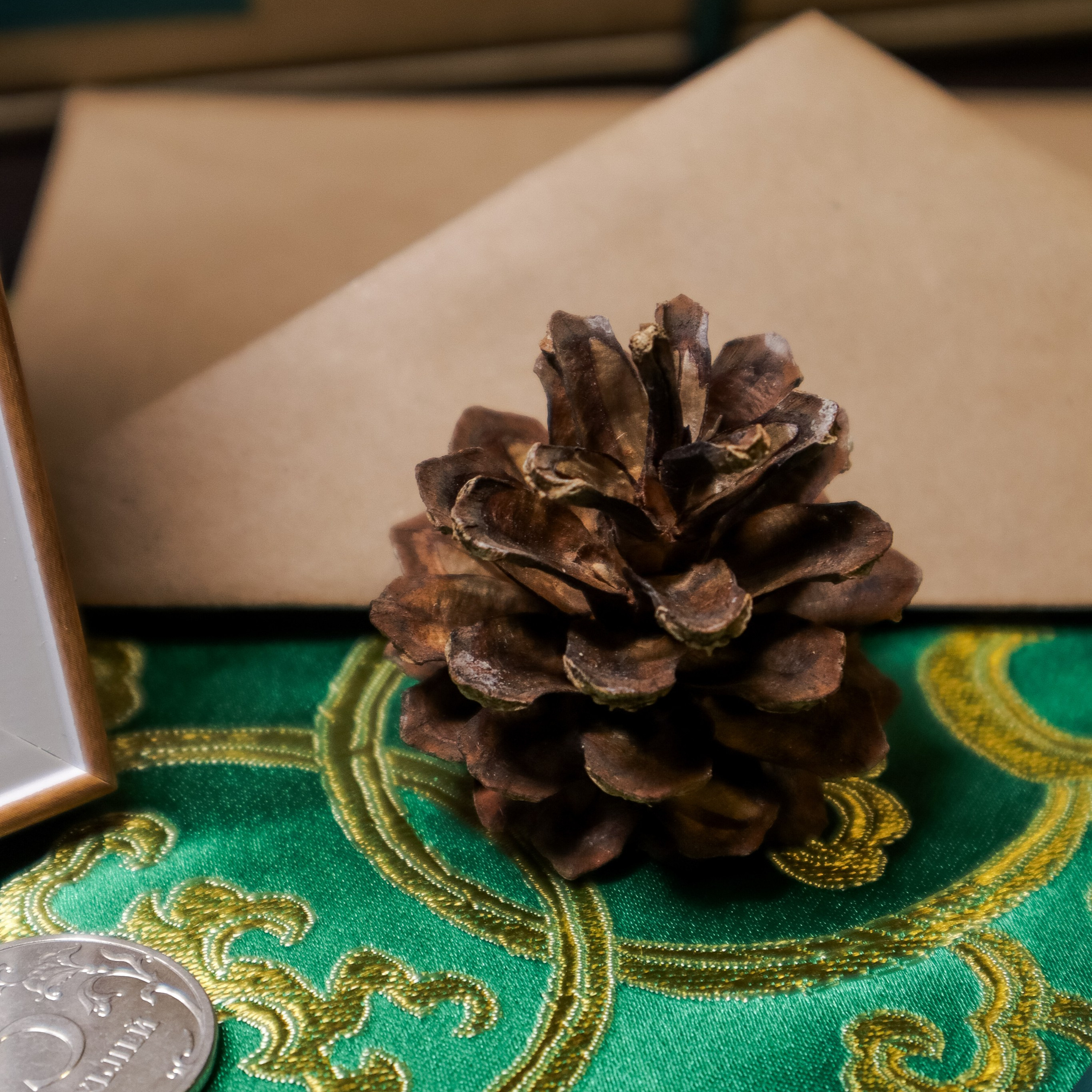 Предметная съёмка. Катерина Губанова