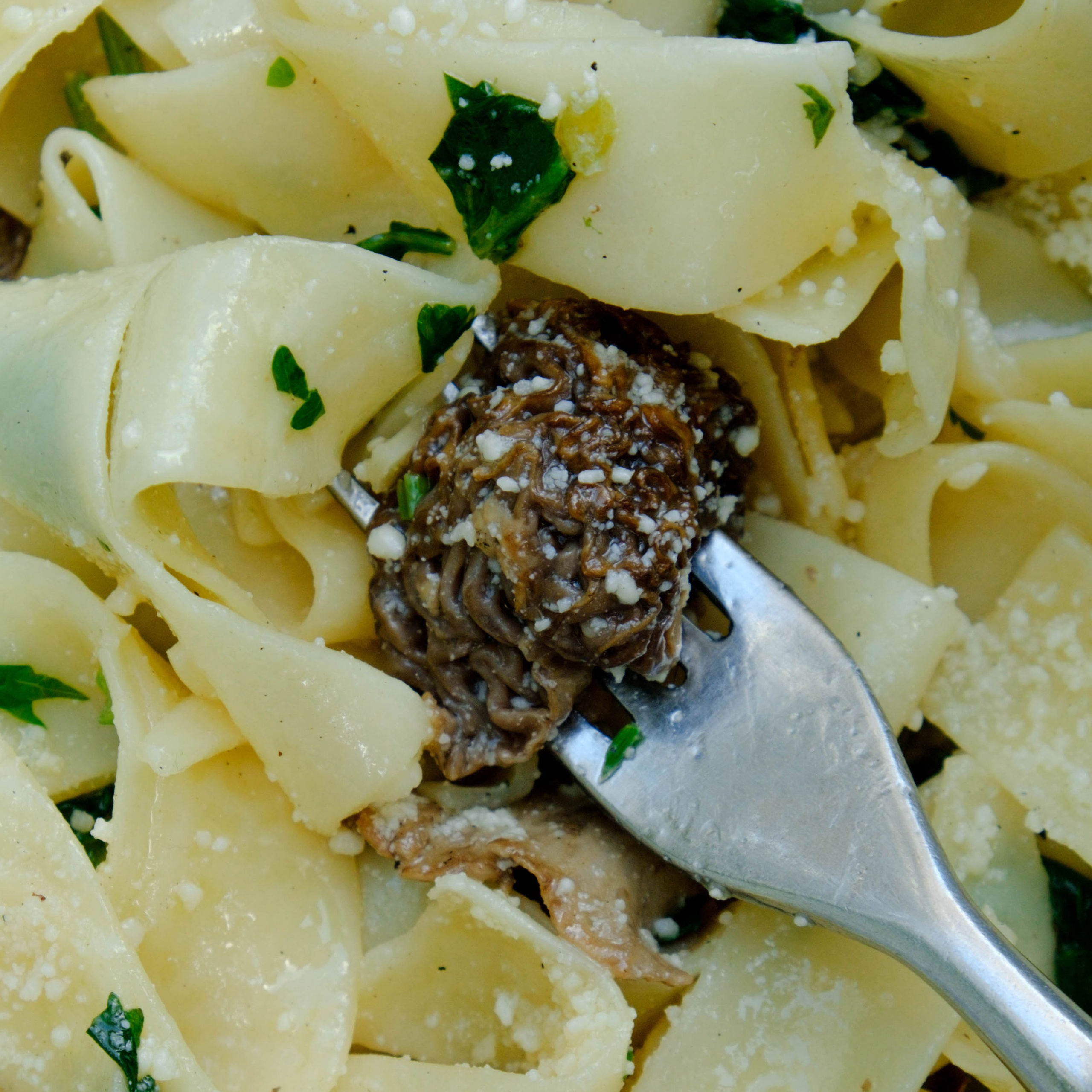 Food-съёмка. Катерина Губанова