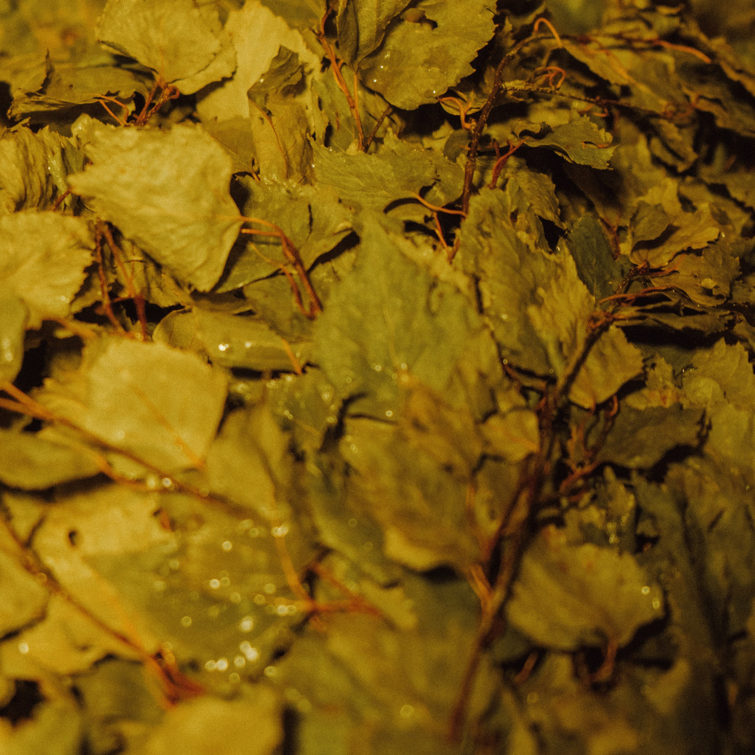 Контент съёмка. Катерина Губанова