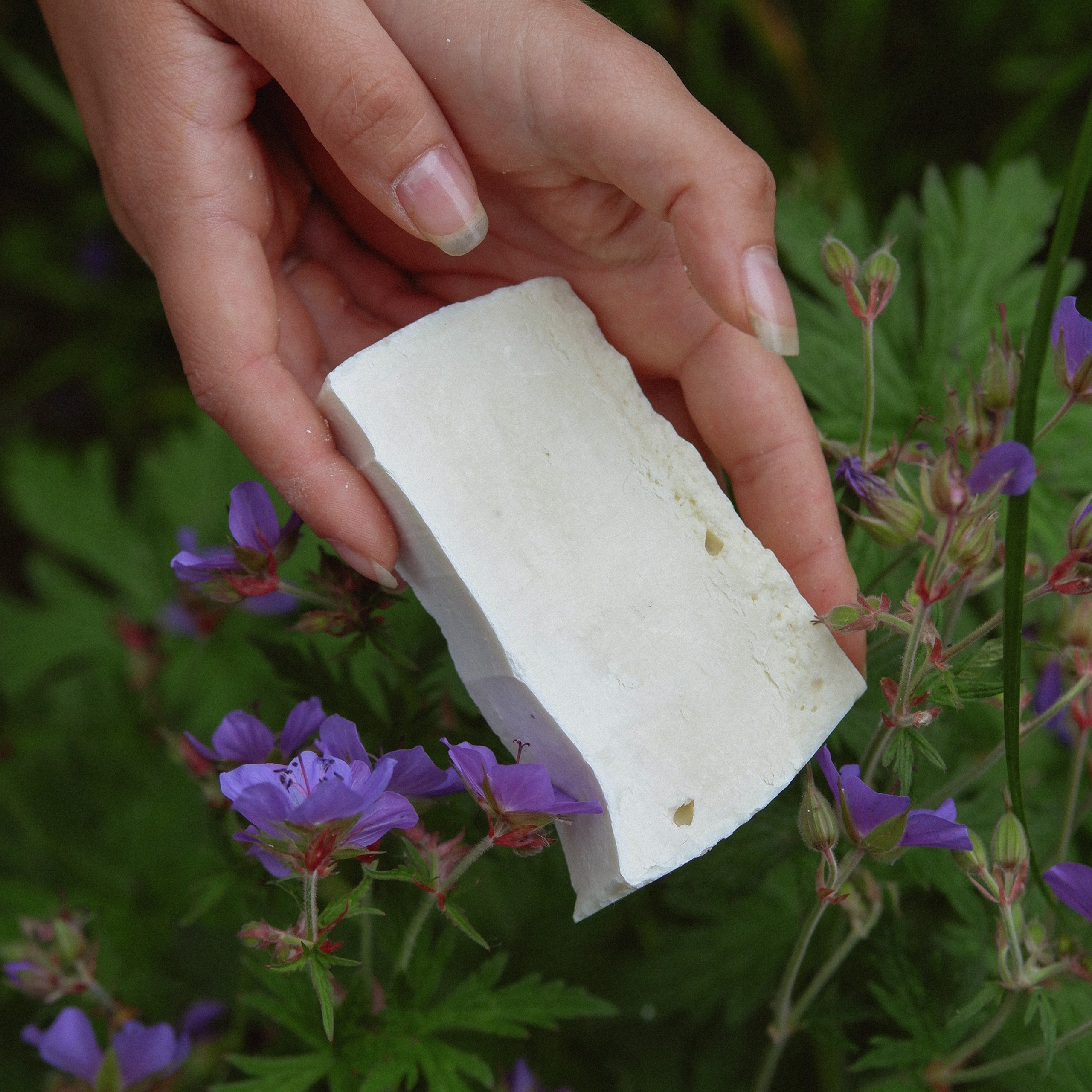 Предметная съёмка. Катерина Губанова