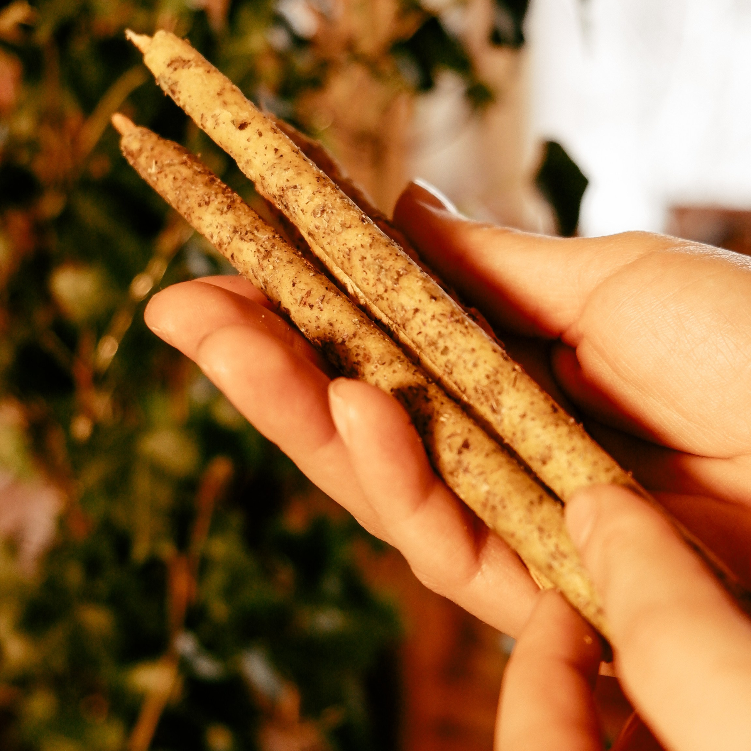 Предметная съёмка. Катерина Губанова