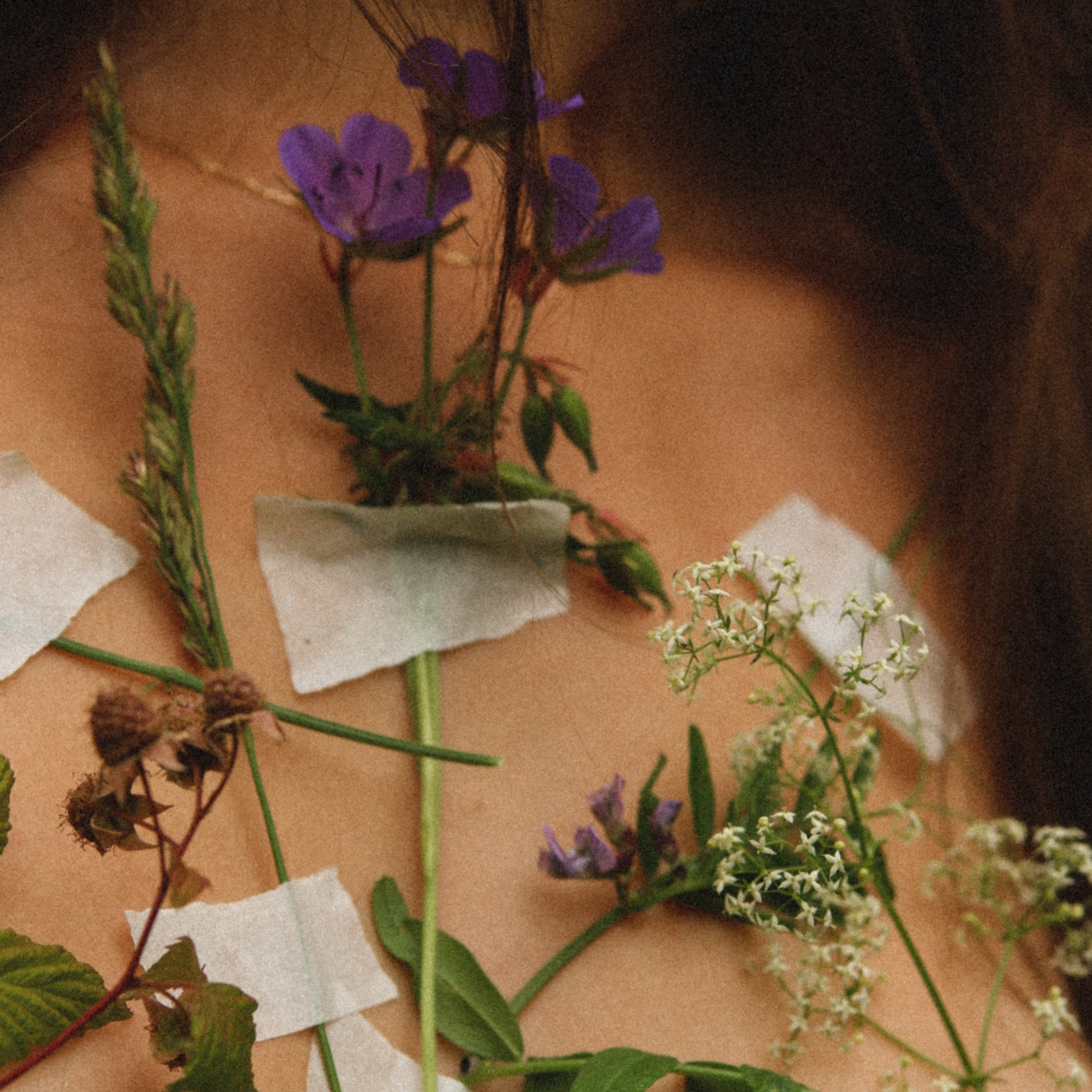 Контент съёмка. Катерина Губанова