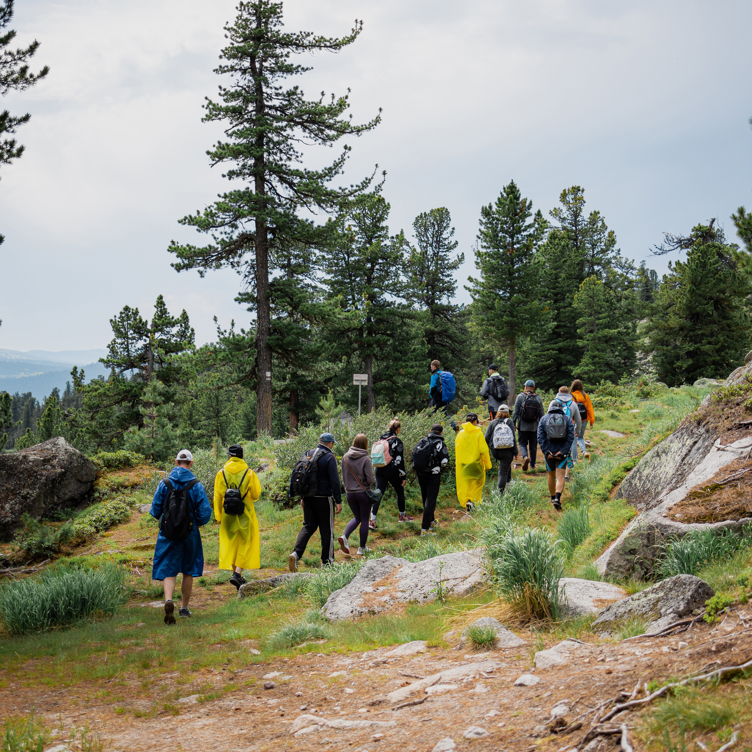 Отзывы. Семейный, детский, спортивный фотограаф в Красноярске Захарова Екатерина Egoza