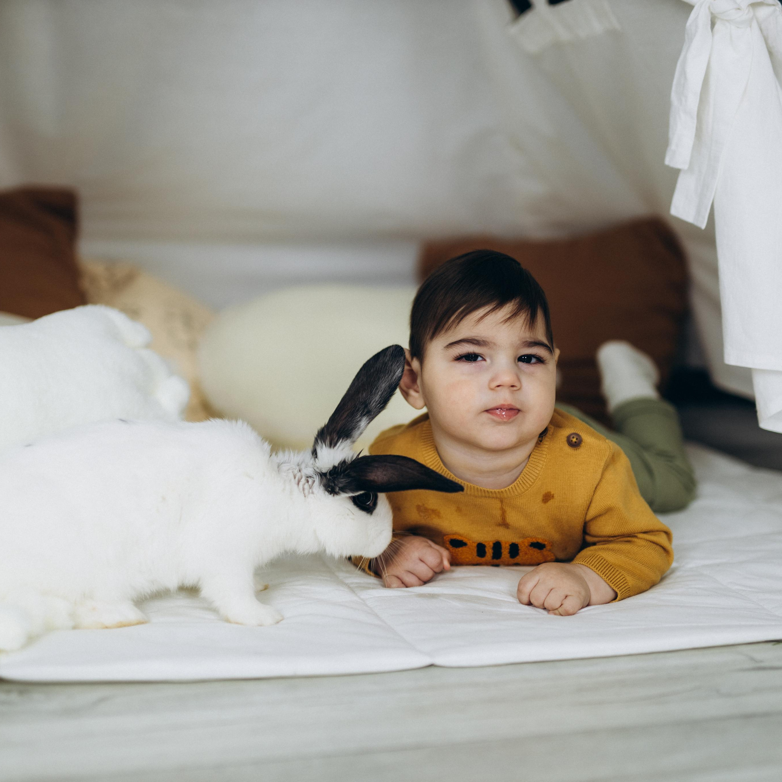 ОТЗЫВЫ. Семейный фотограф Даша Погорелова г. Богучар