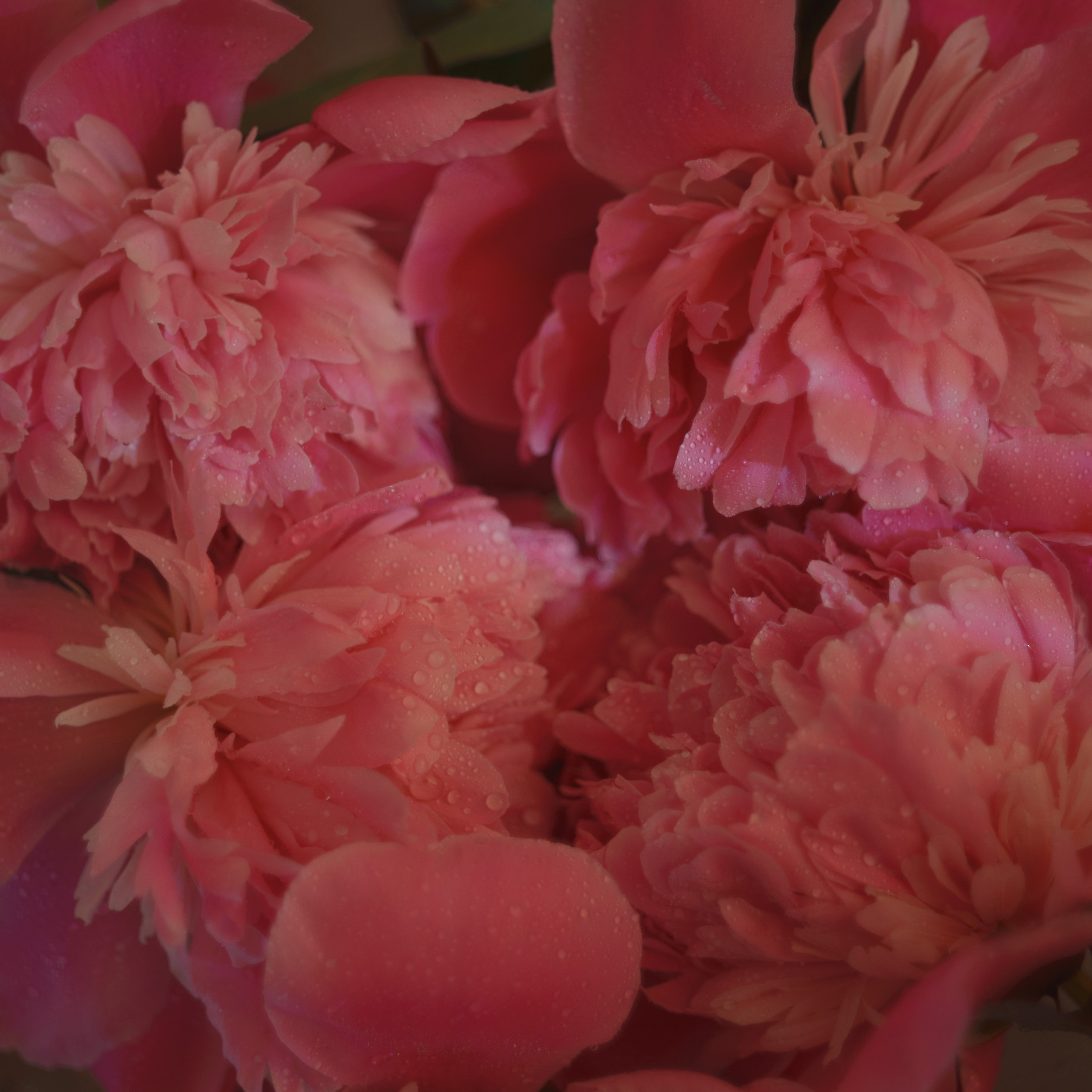 Отзывы о фотографе. Свадебный и портретный фотограф