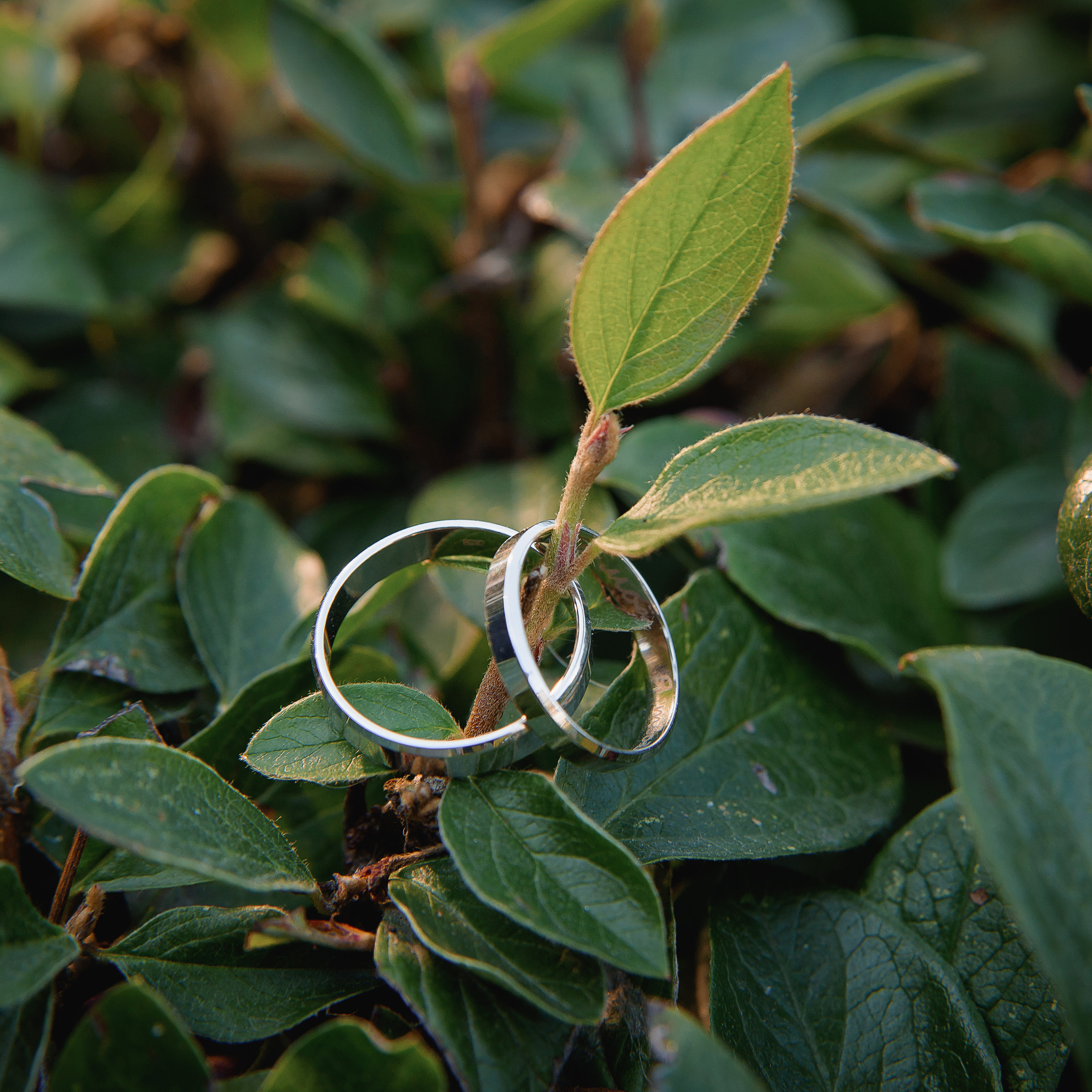 Отзывы о фотографе. Свадебный и портретный фотограф