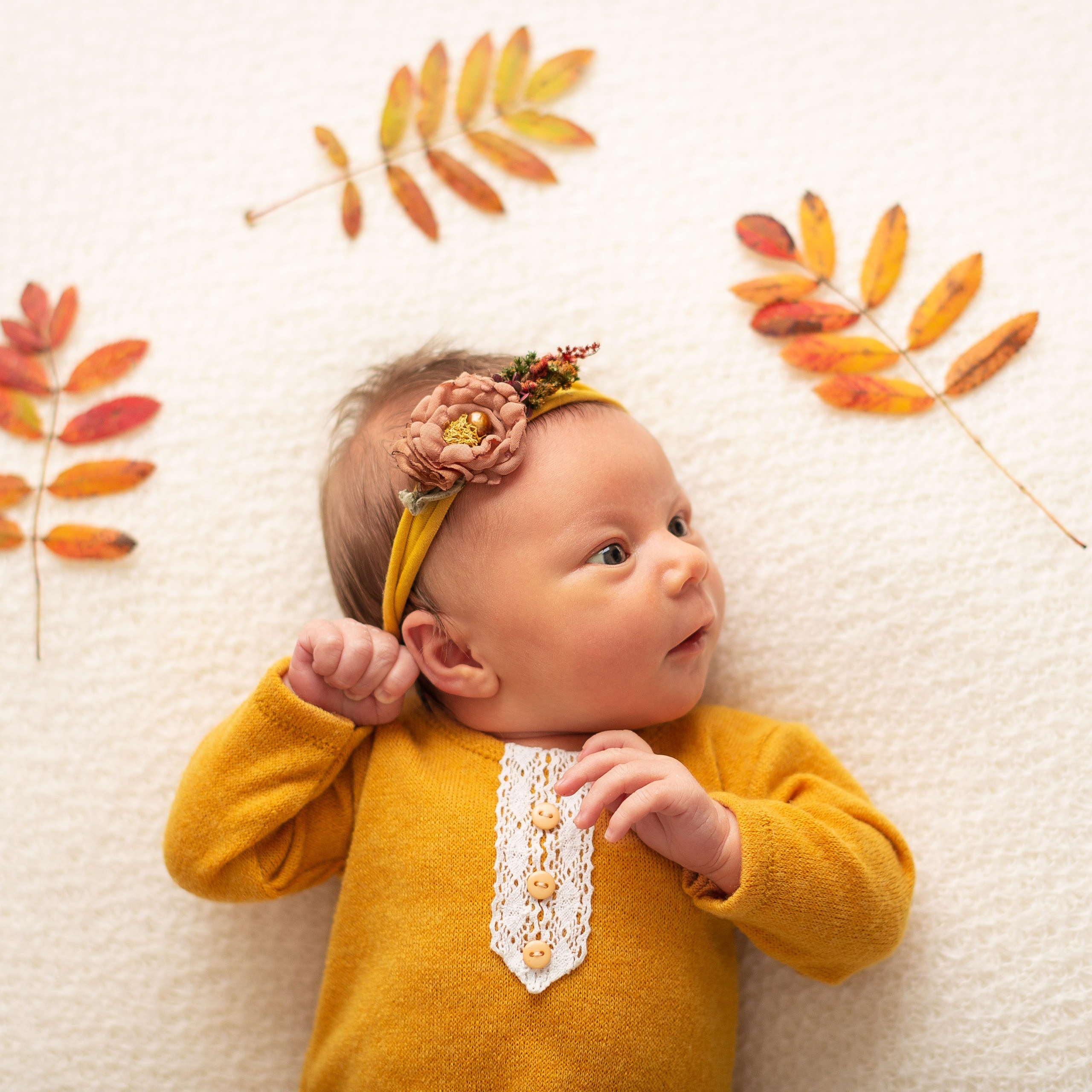 Отзывы. Фотограф новорождённых в городе Щёлково и Москве Екатерина Фоменко
