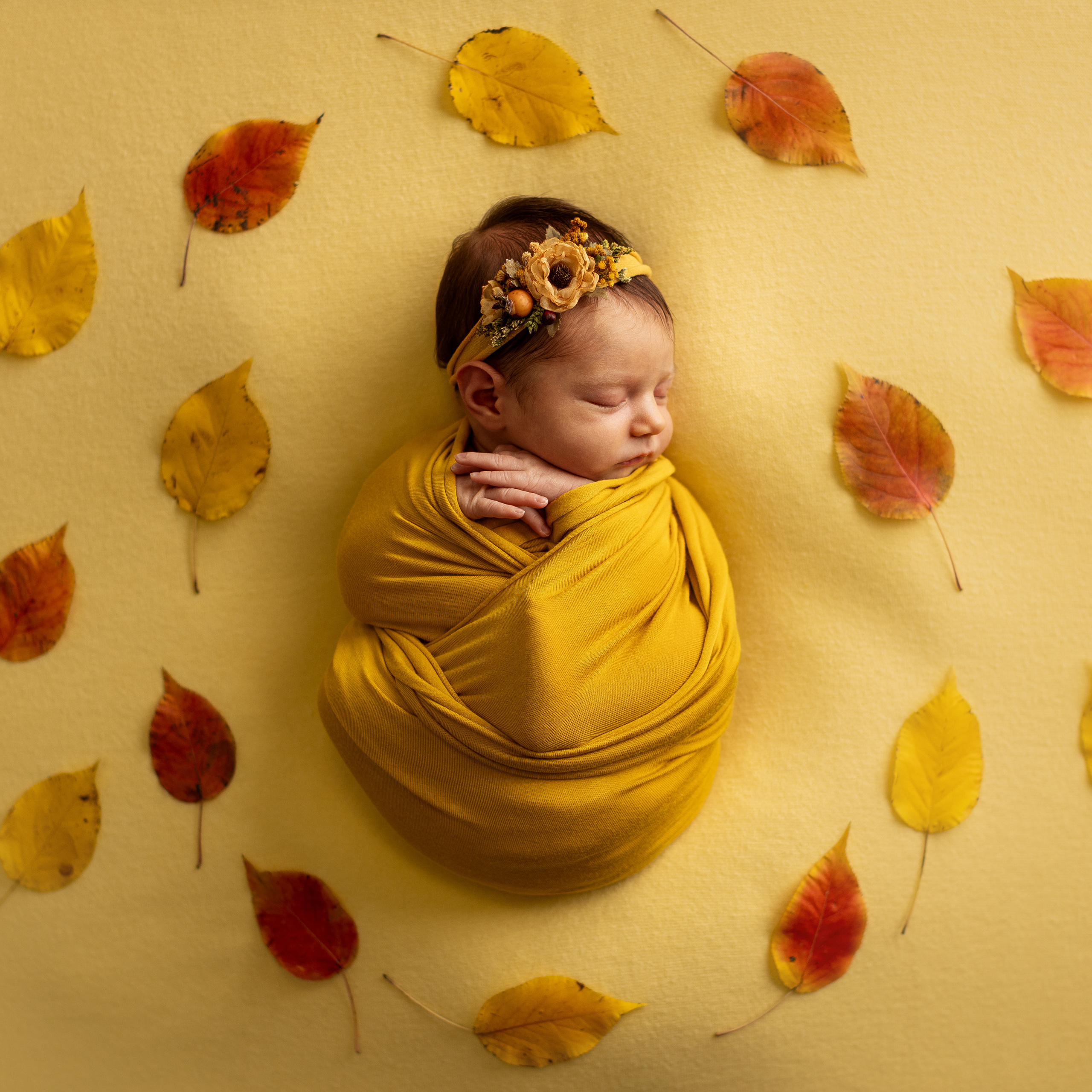 Отзывы. Фотограф новорождённых в городе Щёлково и Москве Екатерина Фоменко