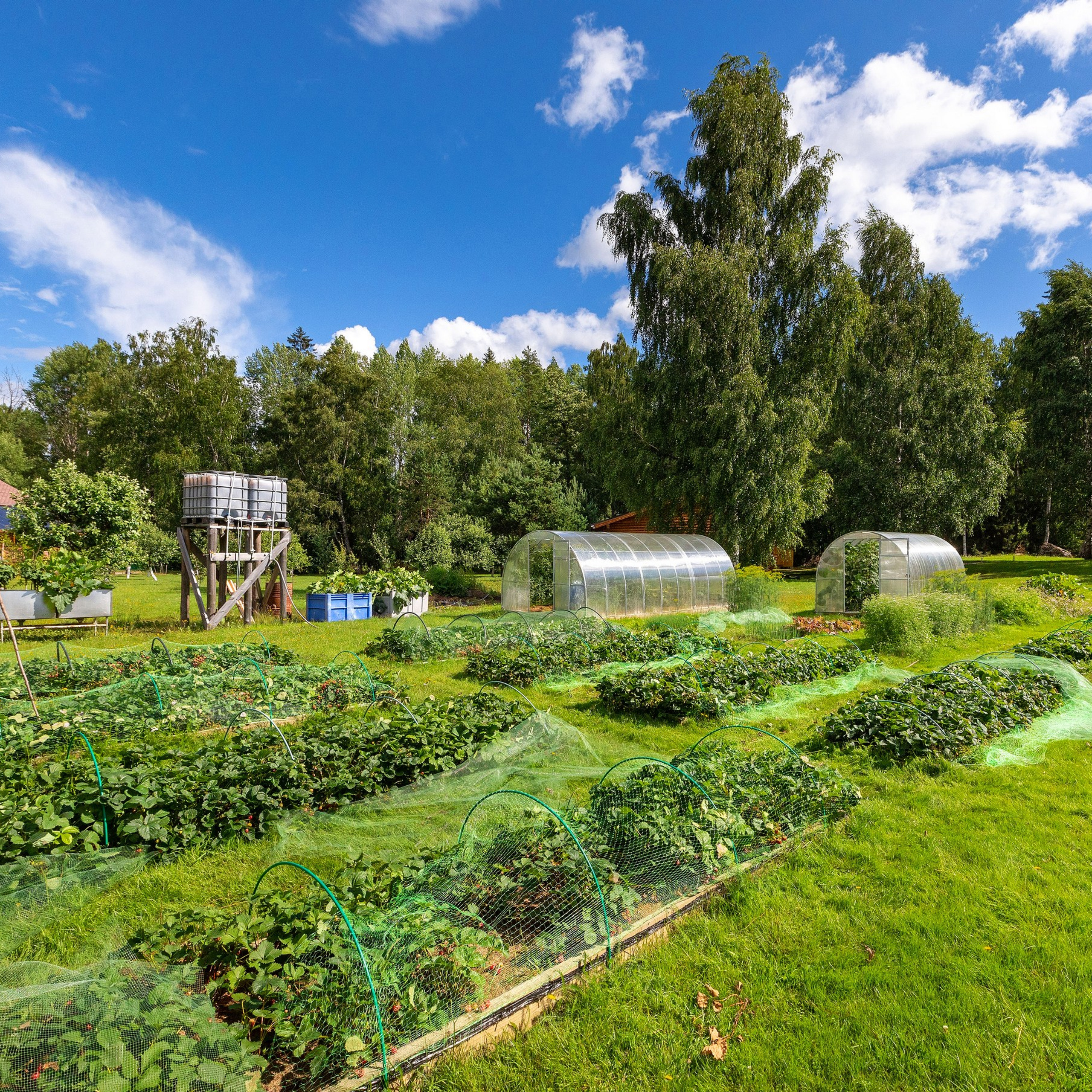Усадьба в Лосево. Интерьерный фотограф в Санкт-Петербурге, Ленинградской области и в Москве Николай Щербаков