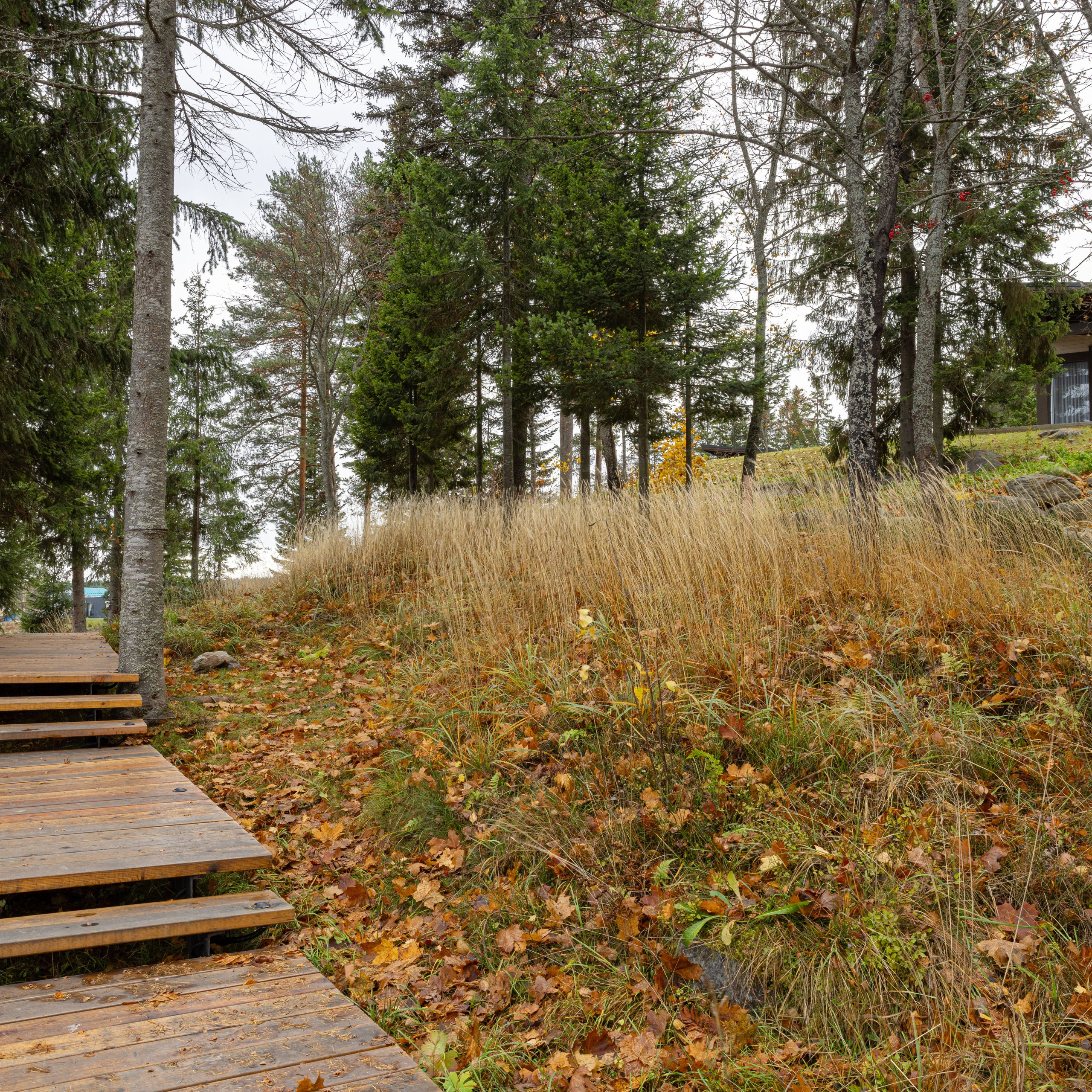 База отдыха в Сортавале. Интерьерный фотограф в Санкт-Петербурге, Ленинградской области и в Москве Николай Щербаков