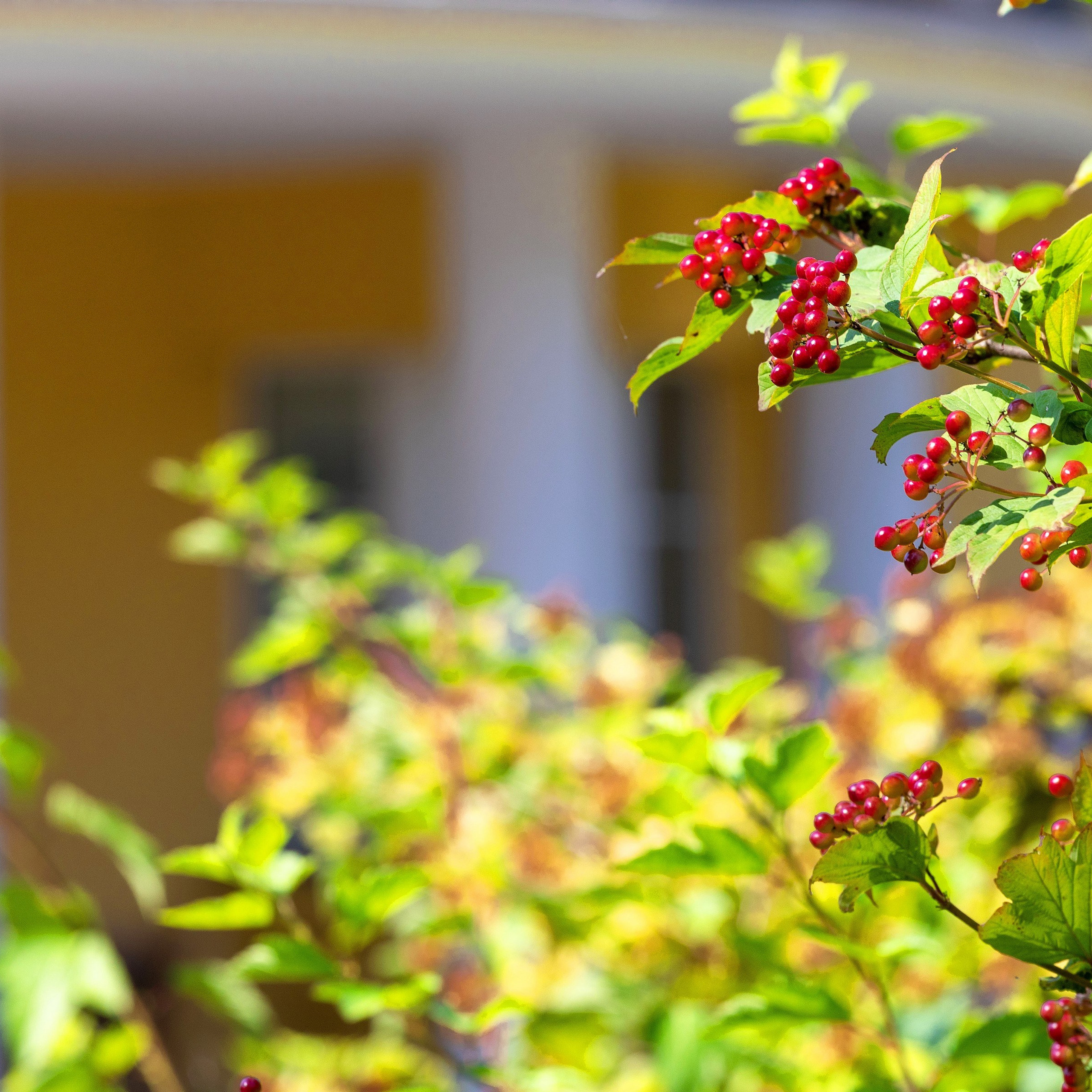 Фотосъёмка дома для продажи в Зеленогорске. Интерьерный фотограф в Санкт-Петербурге, Ленинградской области и в Москве Николай Щербаков