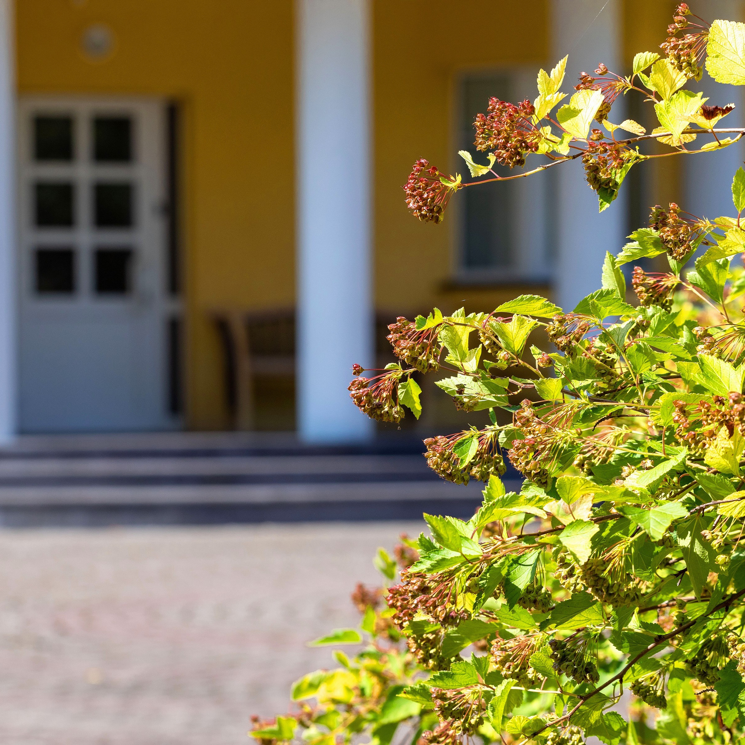 Фотосъёмка дома для продажи в Зеленогорске. Интерьерный фотограф в Санкт-Петербурге, Ленинградской области и в Москве Николай Щербаков