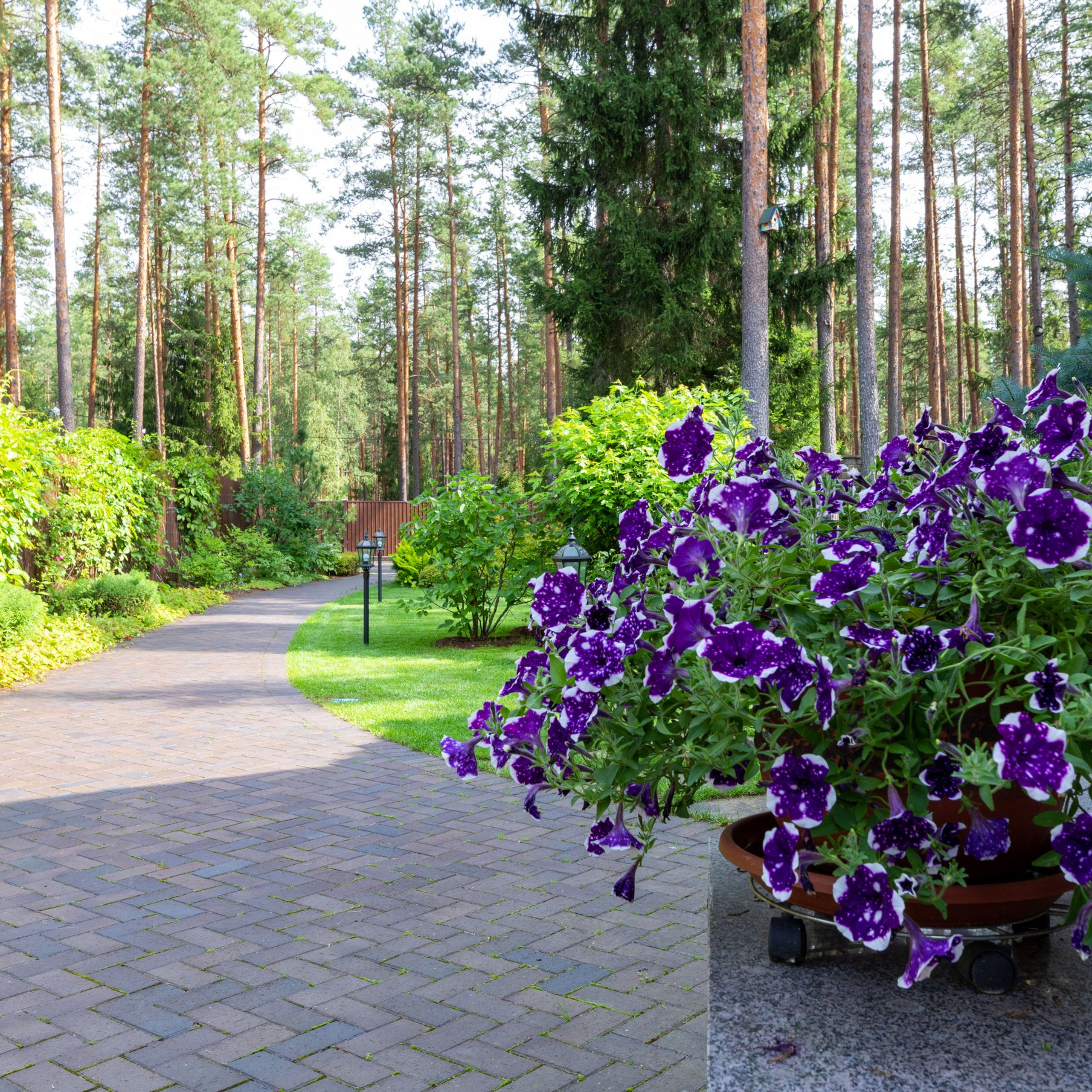 Дом для продажи в Агалатово. Интерьерный фотограф в Санкт-Петербурге, Ленинградской области и в Москве Николай Щербаков