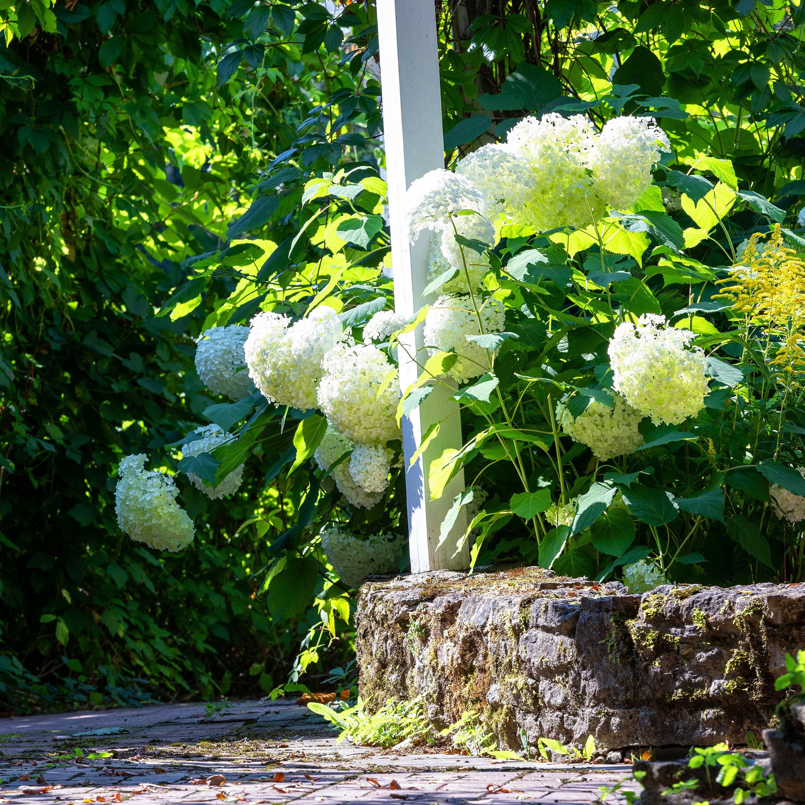 Фотосъёмка дома для продажи в Зеленогорске. Интерьерный фотограф в Санкт-Петербурге, Ленинградской области и в Москве Николай Щербаков