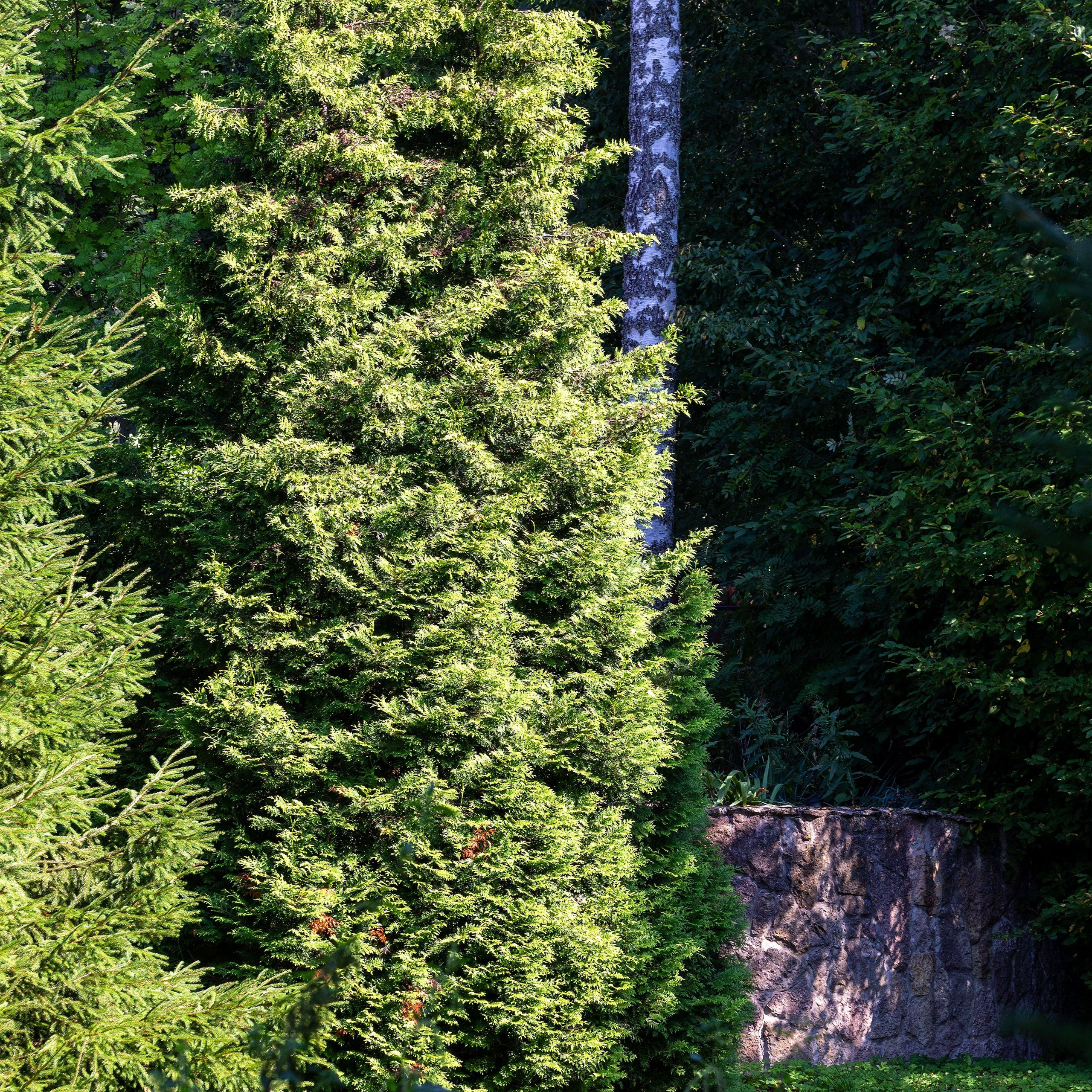 Фотосъёмка дома для продажи в Зеленогорске. Интерьерный фотограф в Санкт-Петербурге, Ленинградской области и в Москве Николай Щербаков