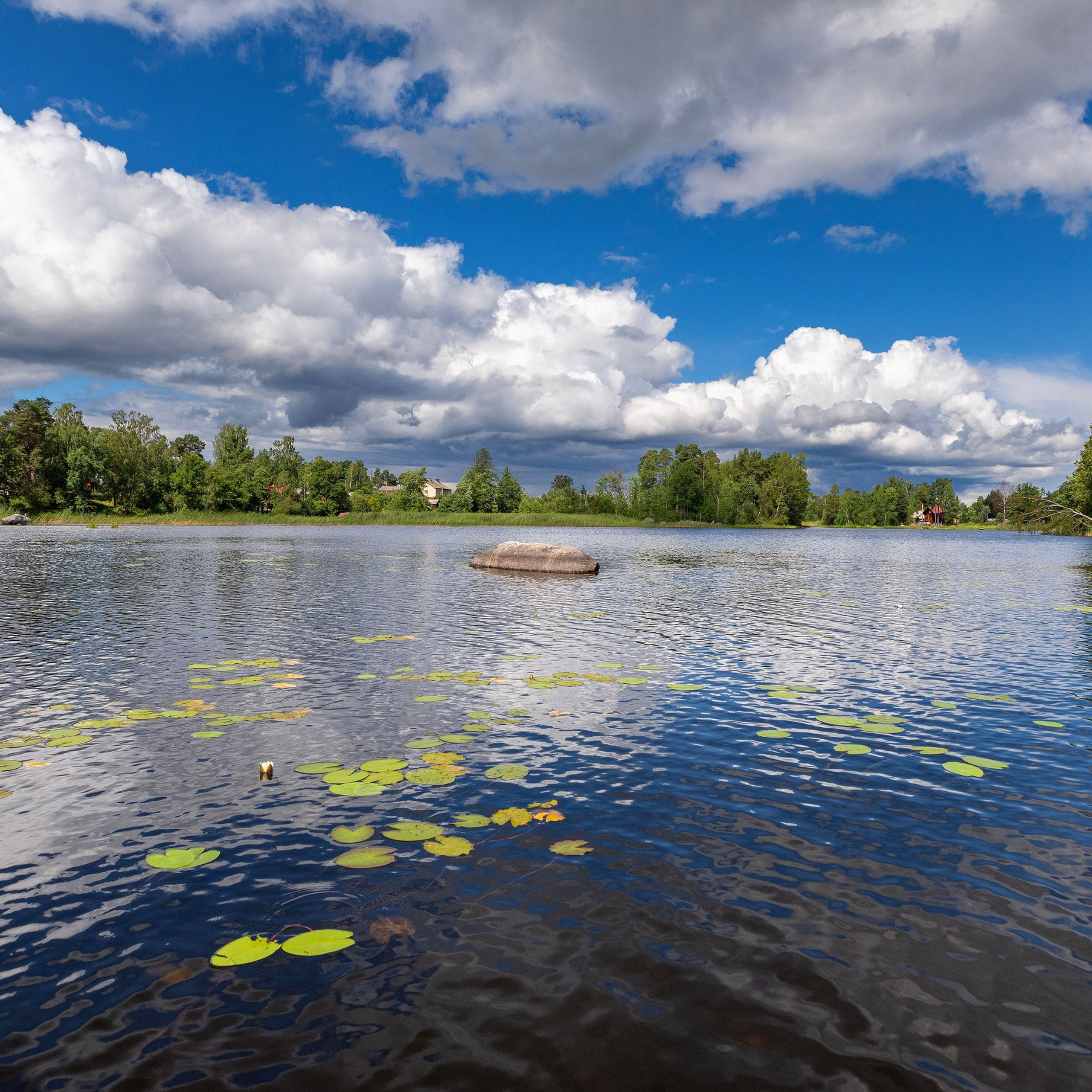 Усадьба в Лосево. Интерьерный фотограф в Санкт-Петербурге, Ленинградской области и в Москве Николай Щербаков