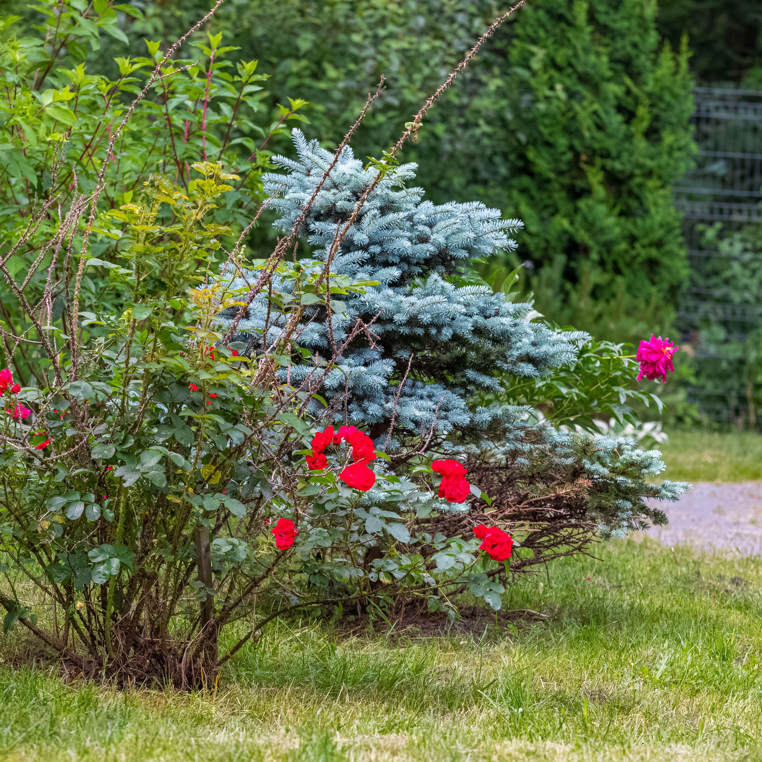 Фотосъёмка дома в Репино для продажи. Интерьерный фотограф в Санкт-Петербурге, Ленинградской области и в Москве Николай Щербаков