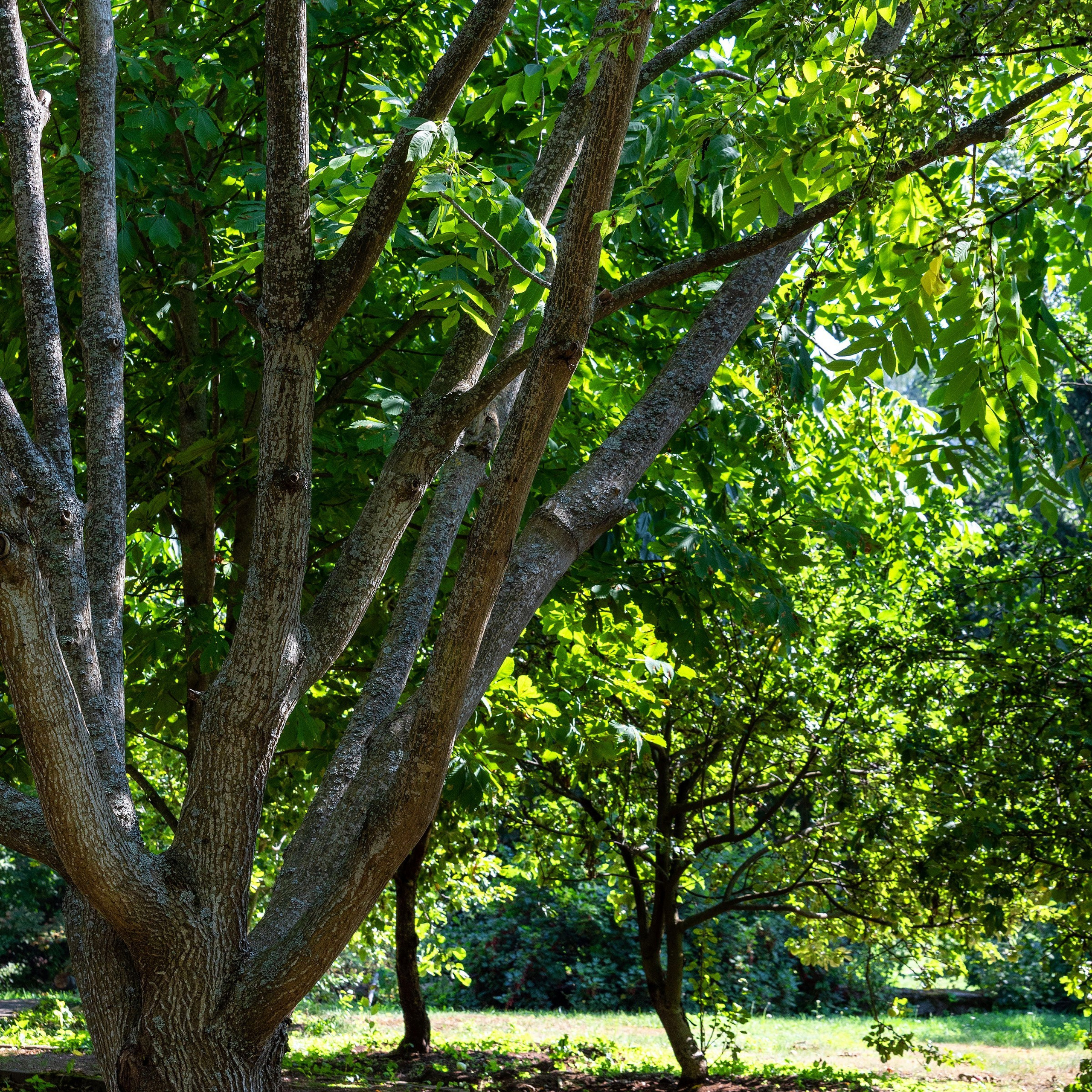 Фотосъёмка дома для продажи в Зеленогорске. Интерьерный фотограф в Санкт-Петербурге, Ленинградской области и в Москве Николай Щербаков