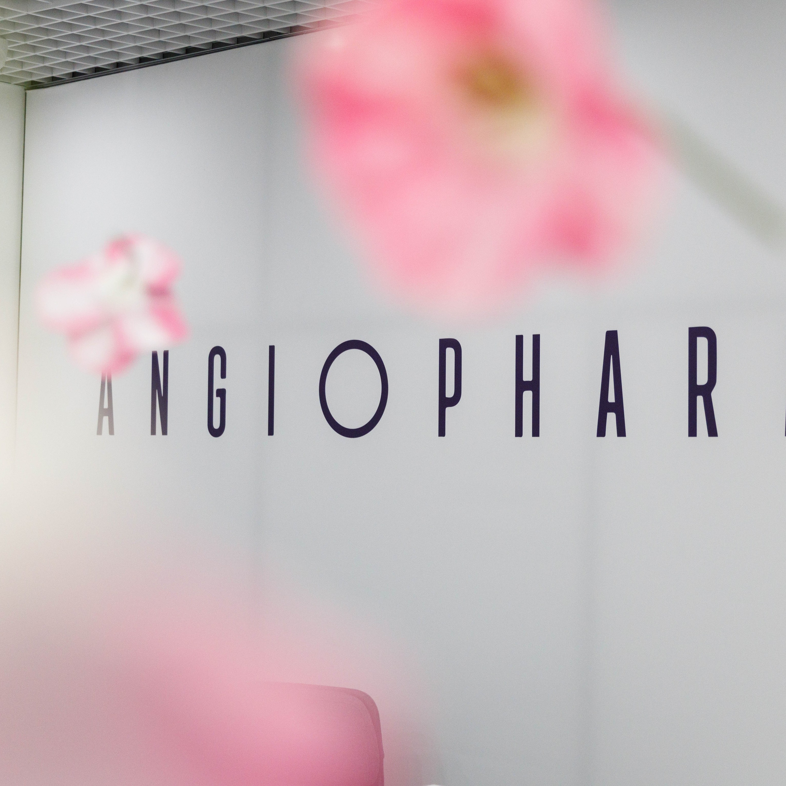 ANGIOPHARM cosmetics. Клиентский день.