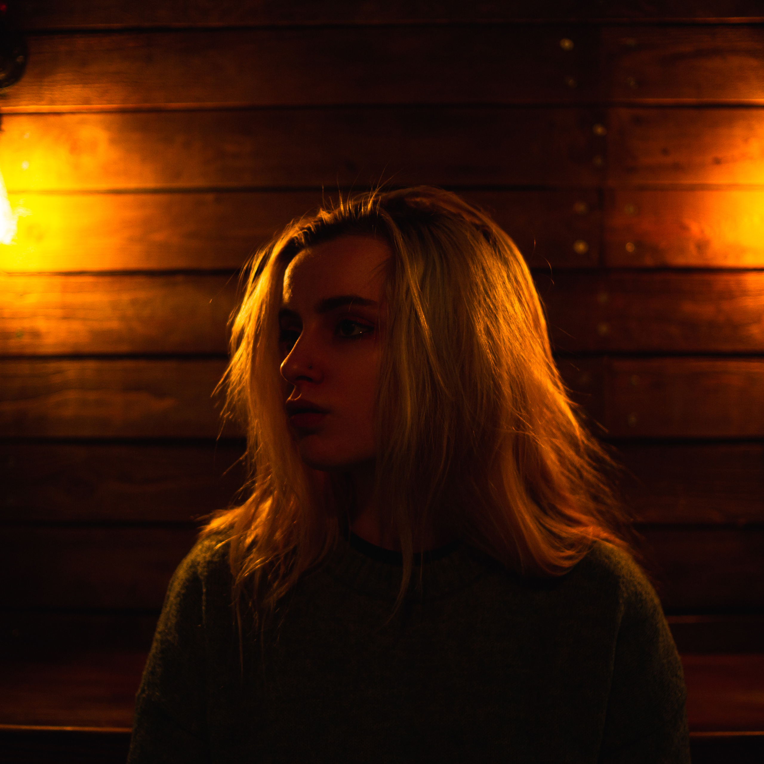 Отзывы. Shredguard Photo