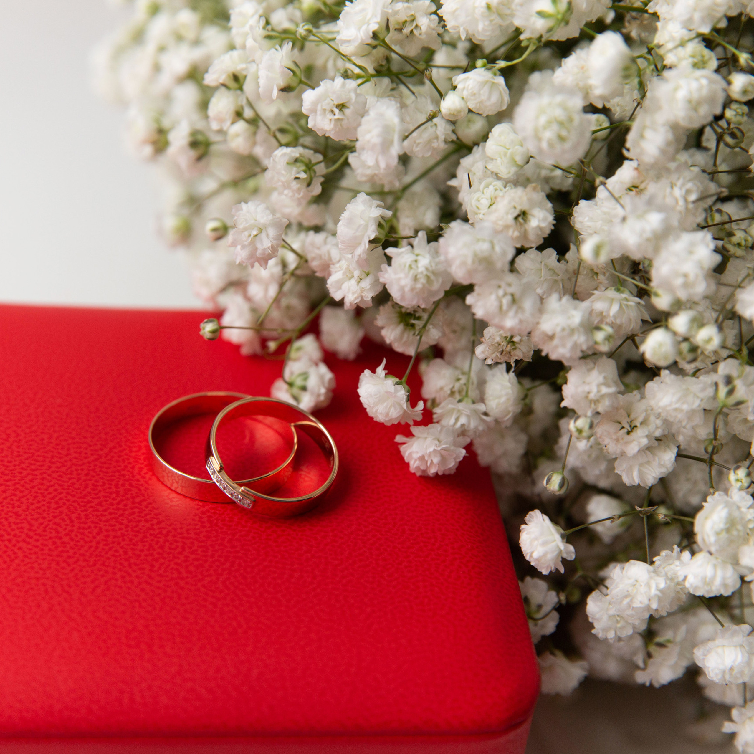 Отзывы невест о свадебной съемке. Свадебный и портретный фотограф в Санкт-Петербурге Надежда Чечулина