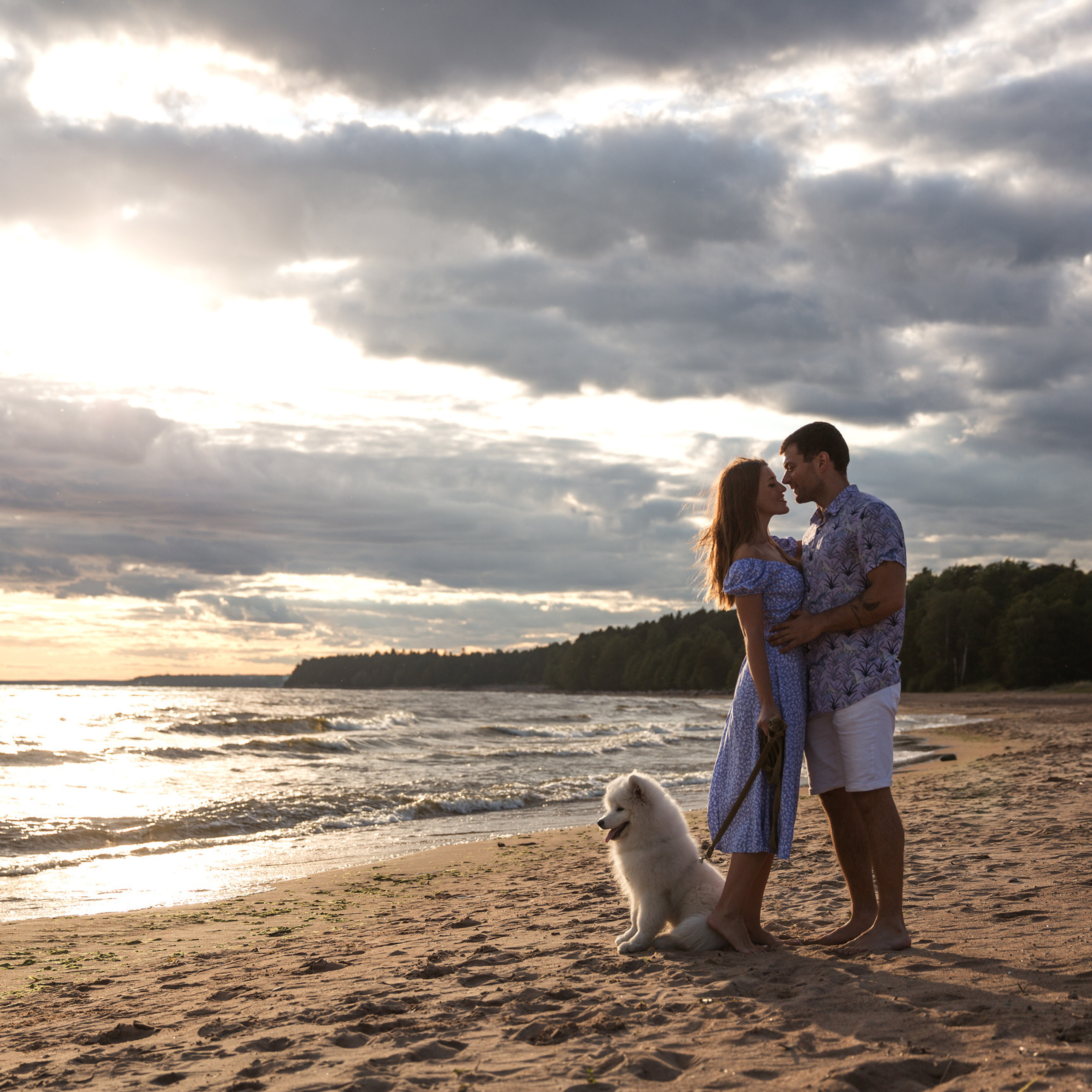 Финский залив, чайки, лето…