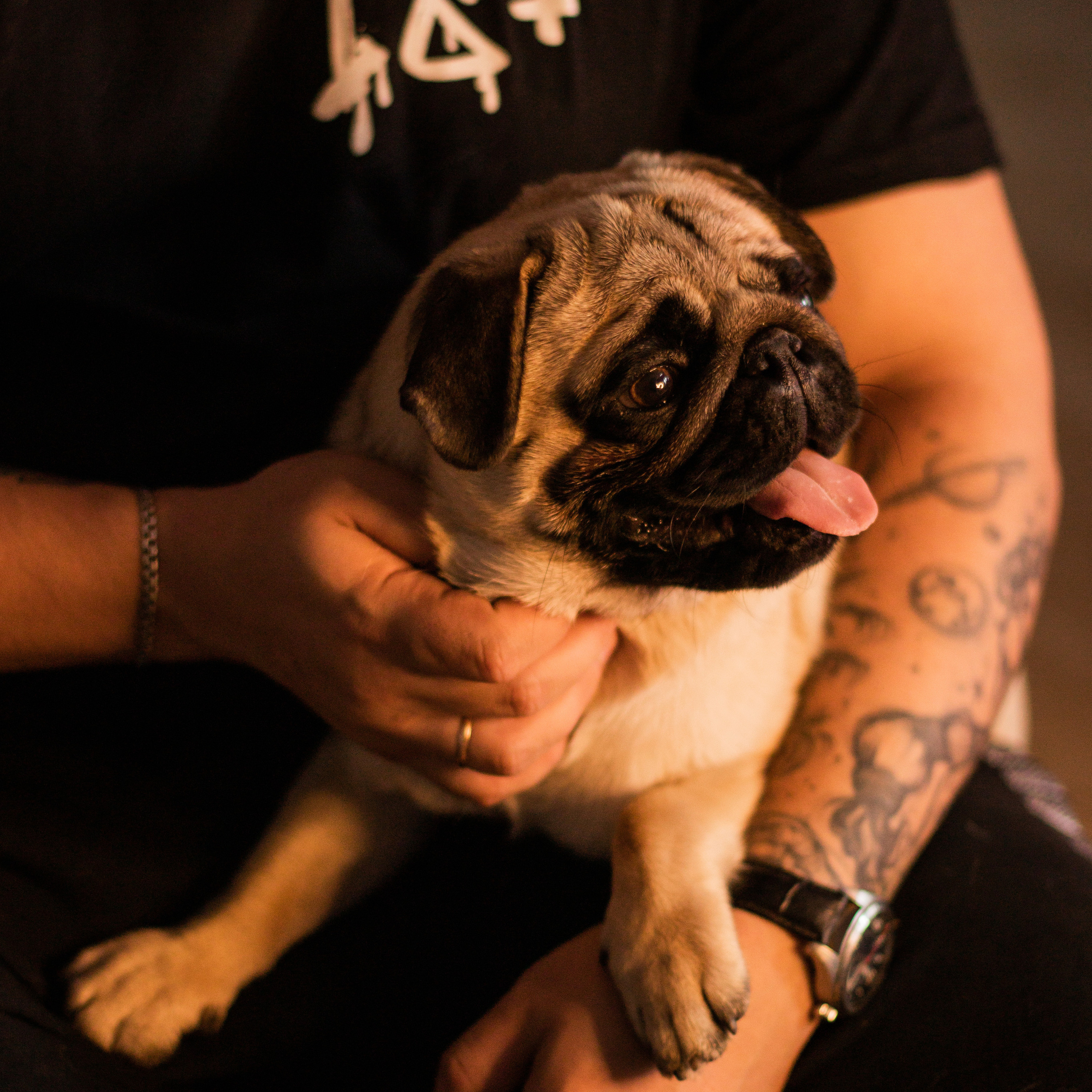 Отзывы. Фотограф Москва и Сергиев Посад- Ника Диянов