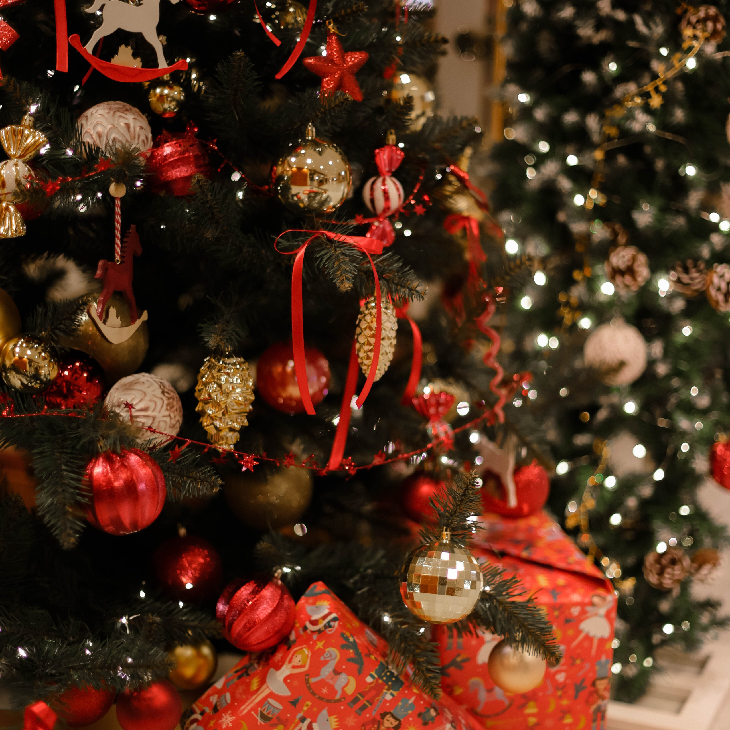 Отзывы. Фотограф Москва и Сергиев Посад- Ника Диянов