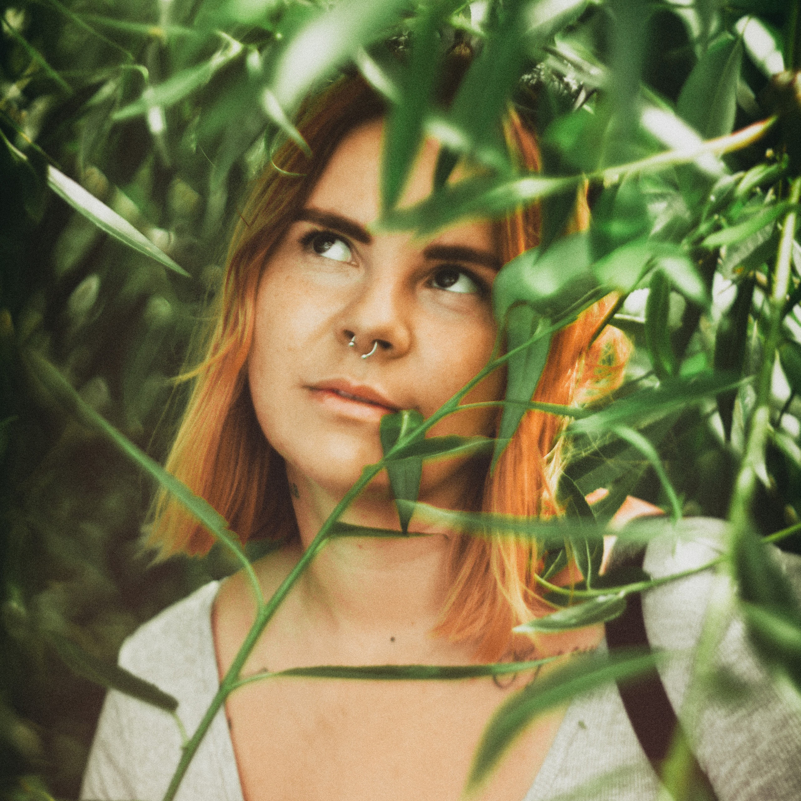 Прогулка по Выборгу