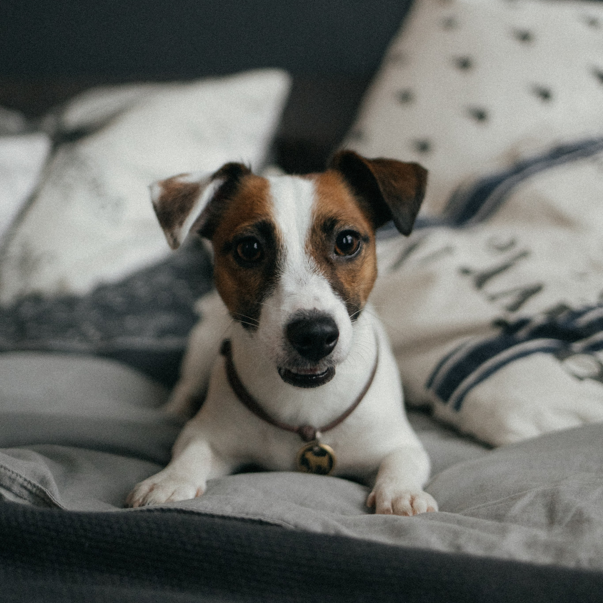 Отзывы. Главная