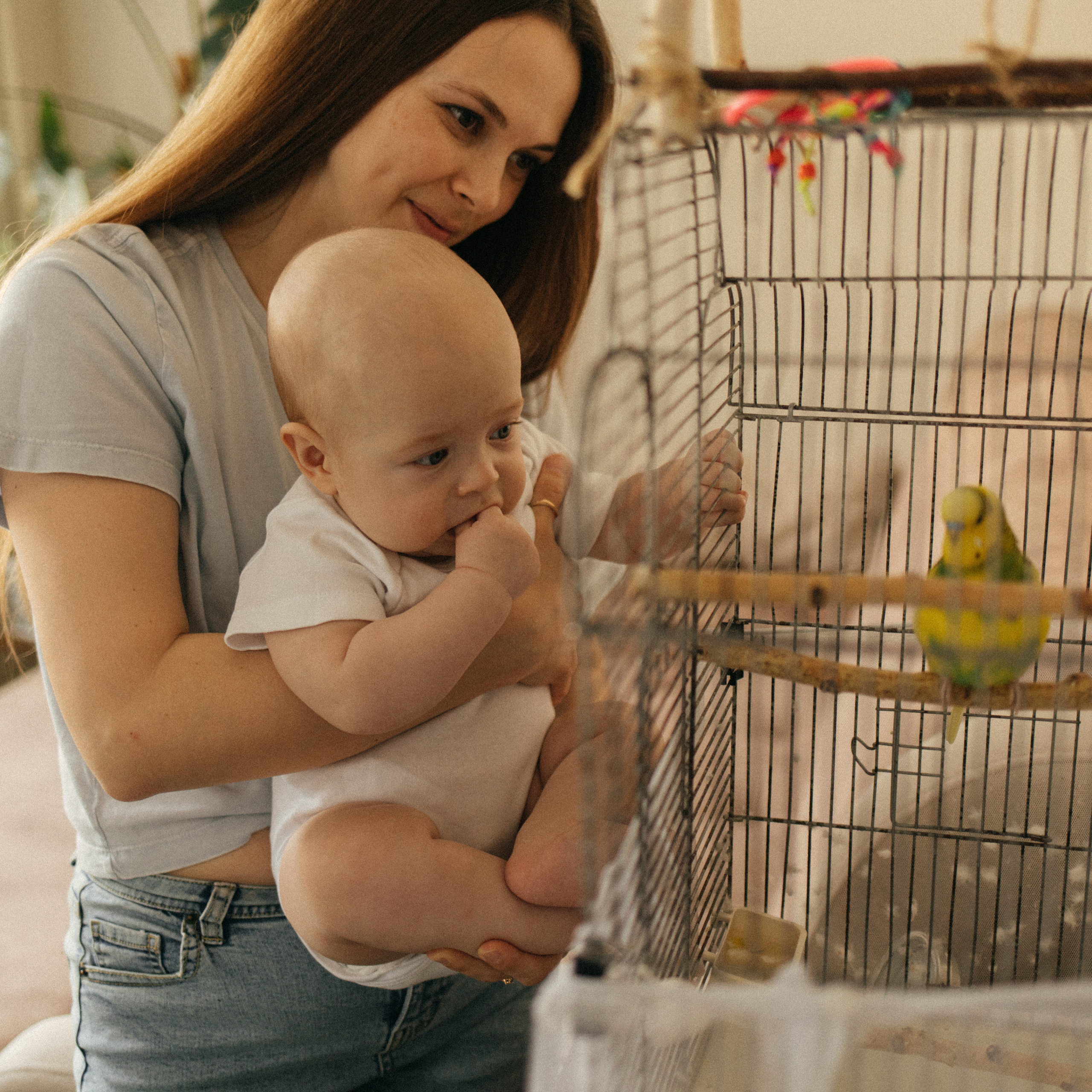 Отзывы. Главная